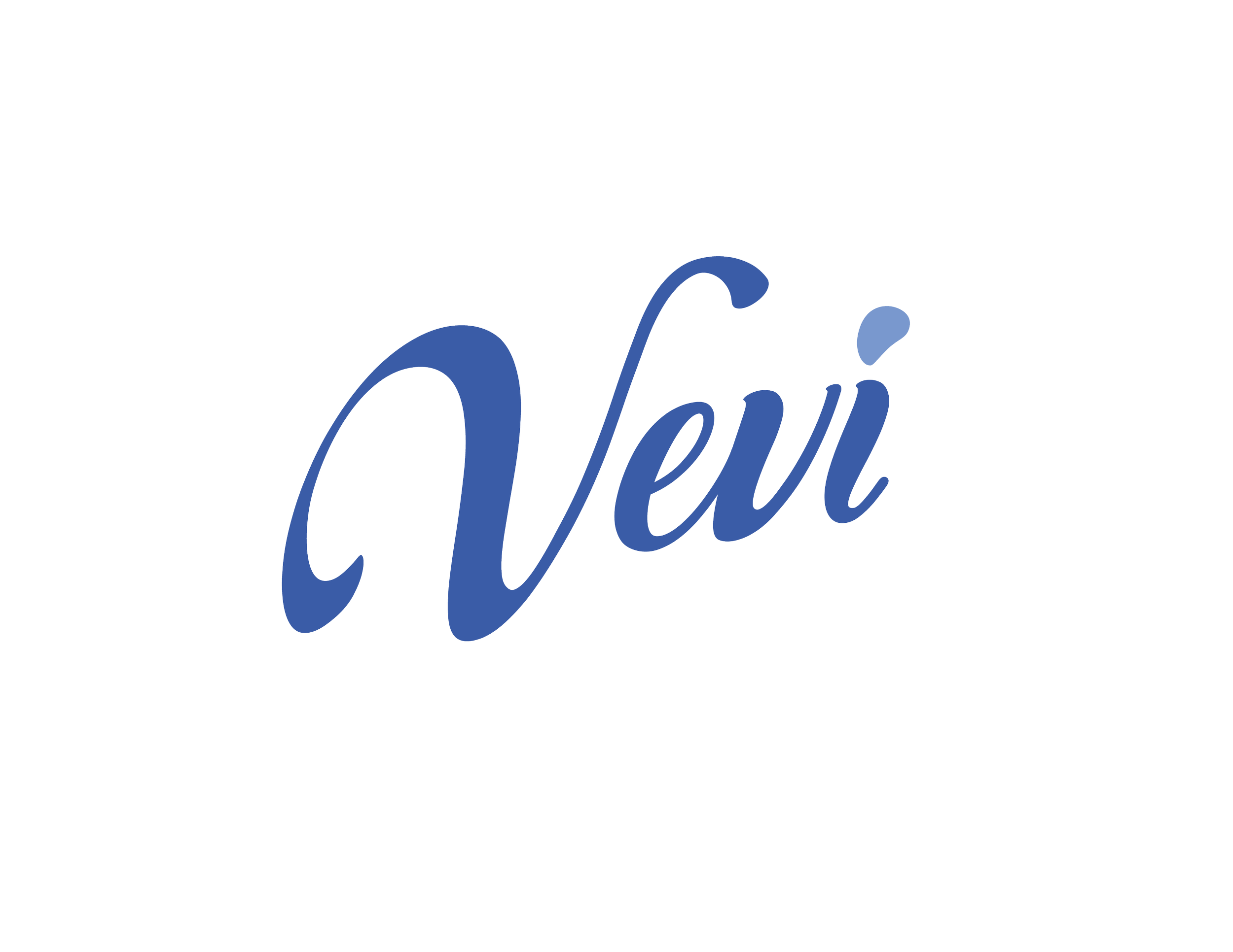 VEVI_final_reflex_blue-01.png