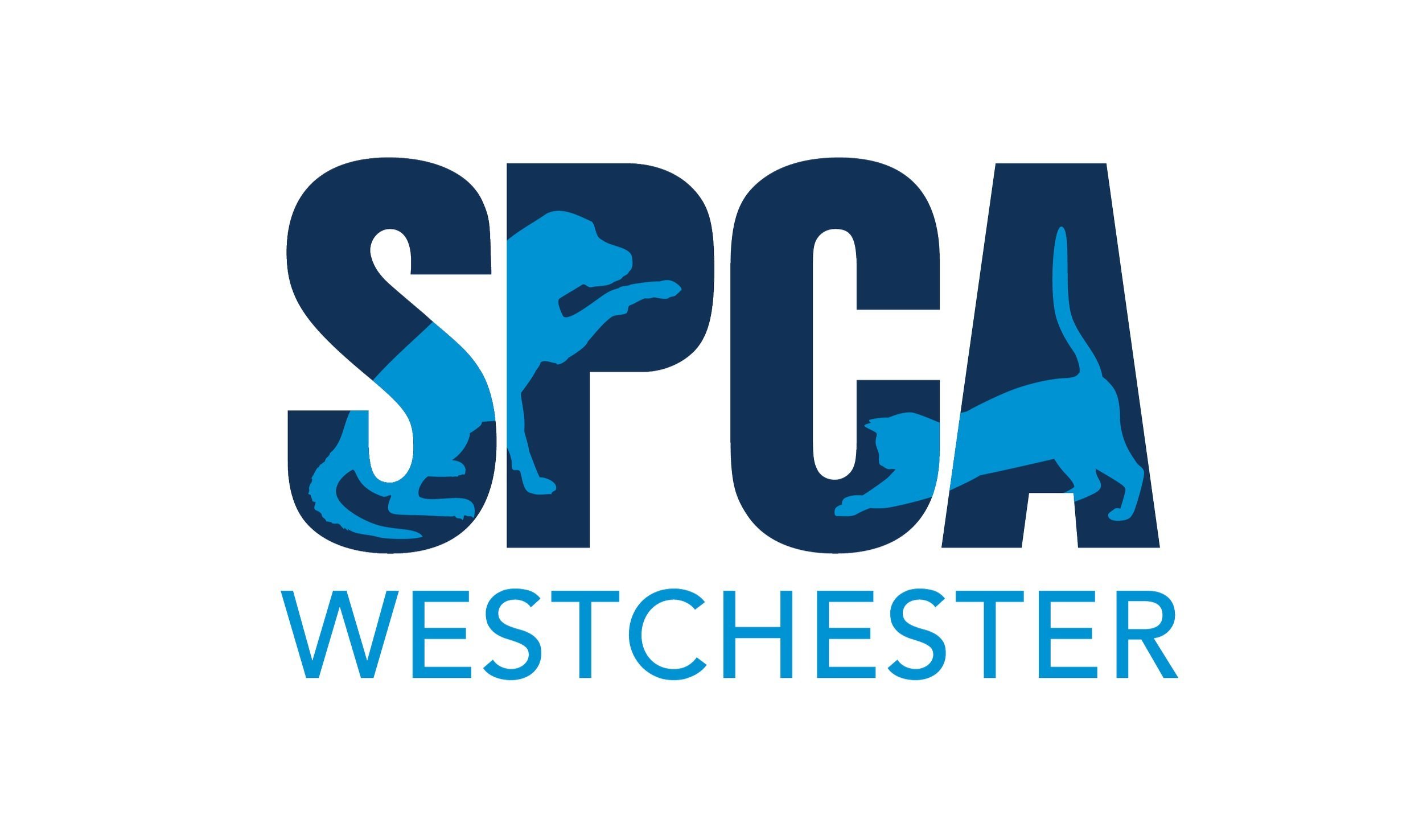 SPCA_Westchester_2021-02.jpg