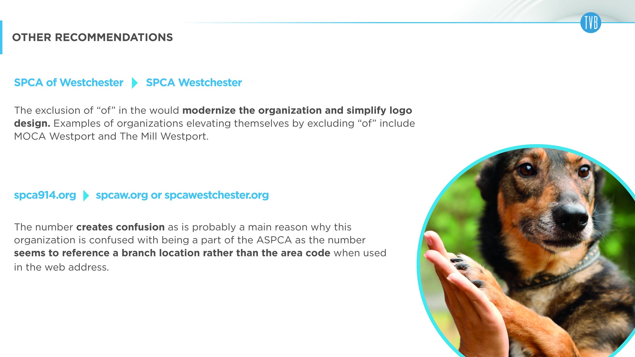 SPCA_Westchester_brand_foundation_Page_21.jpg