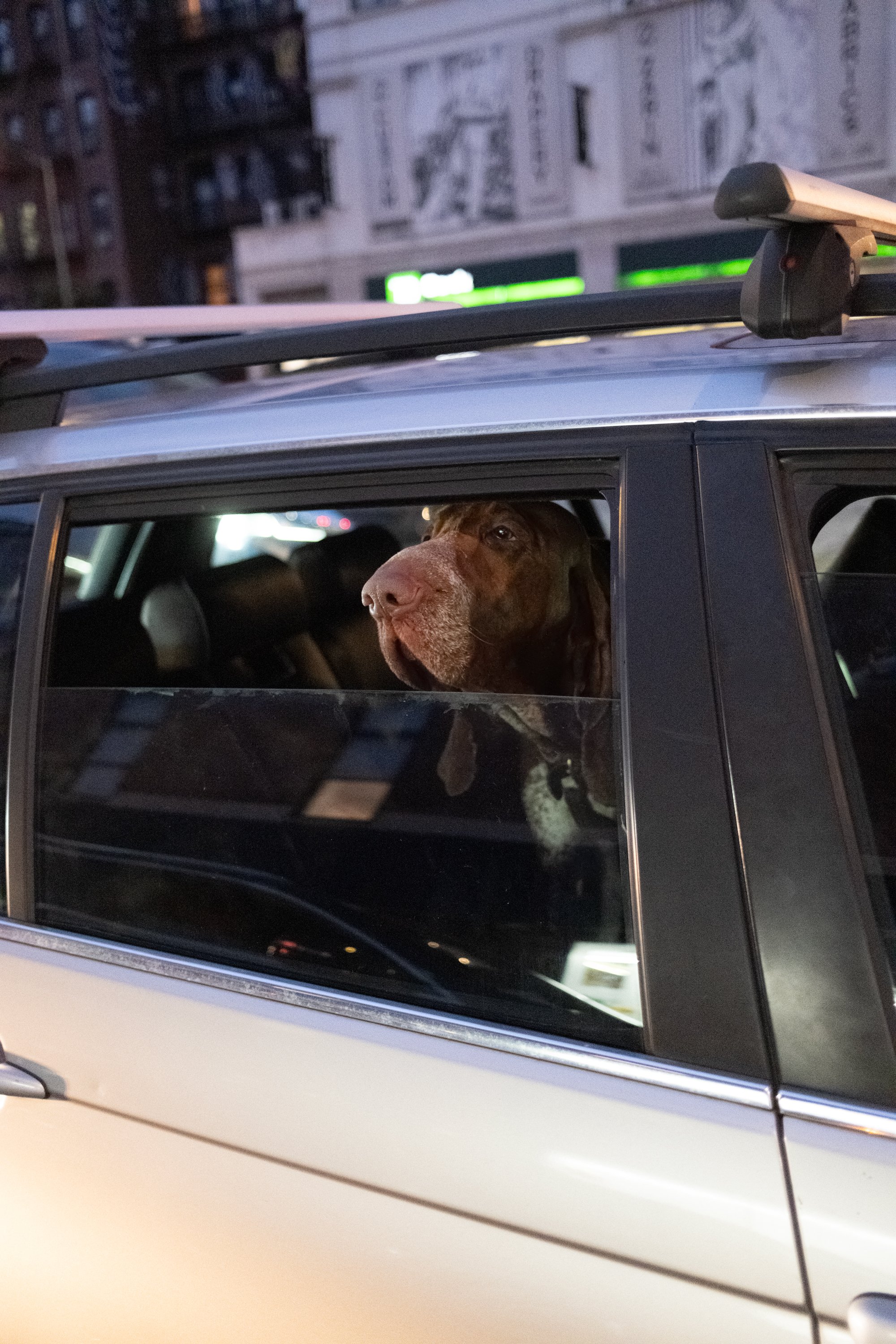 DSCF5129.jpg