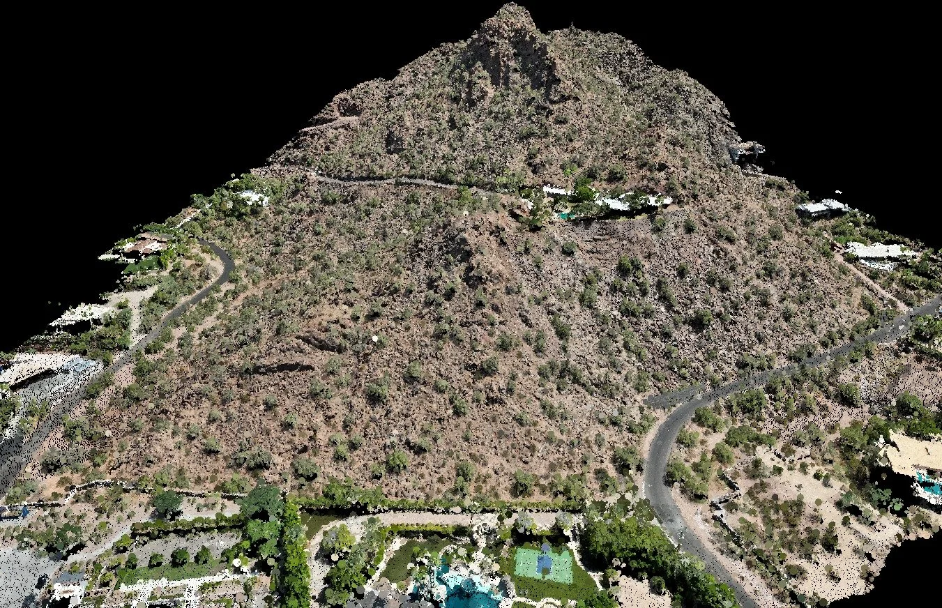 dromedary combined (3).jpeg