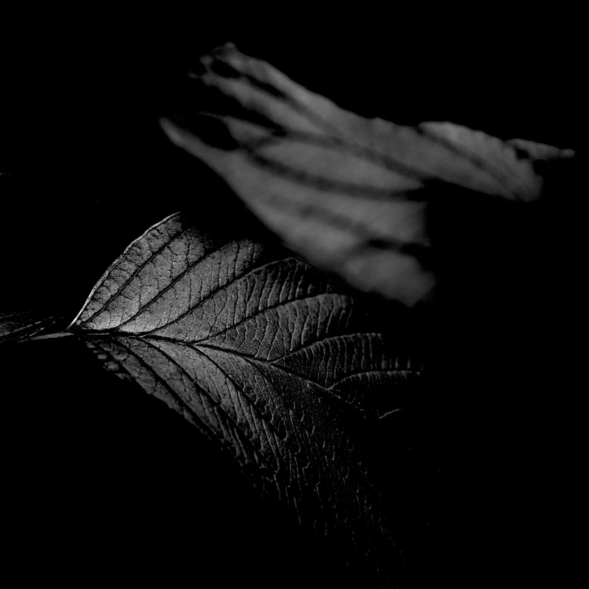 _M002113.jpg