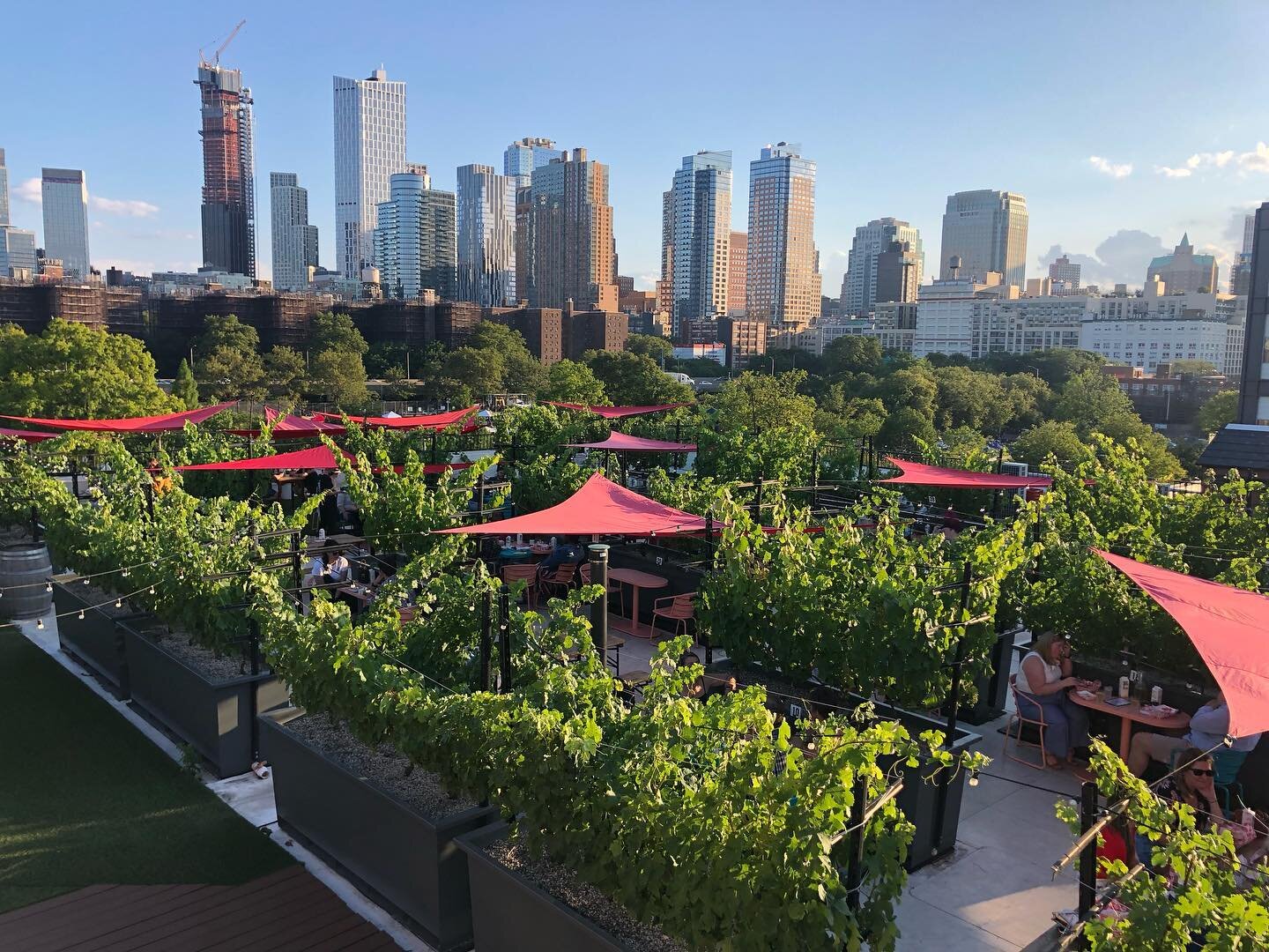 At least the grapes are loving all this rain 💙 💚

Things are looking lush and green up on the roof, come see us soon! 

#rooftopreds #wine #roof #brooklyn #rooftopbar #nyc #brooklynbar #wines #eventbrite #newyorkwine #vineyard #instagood