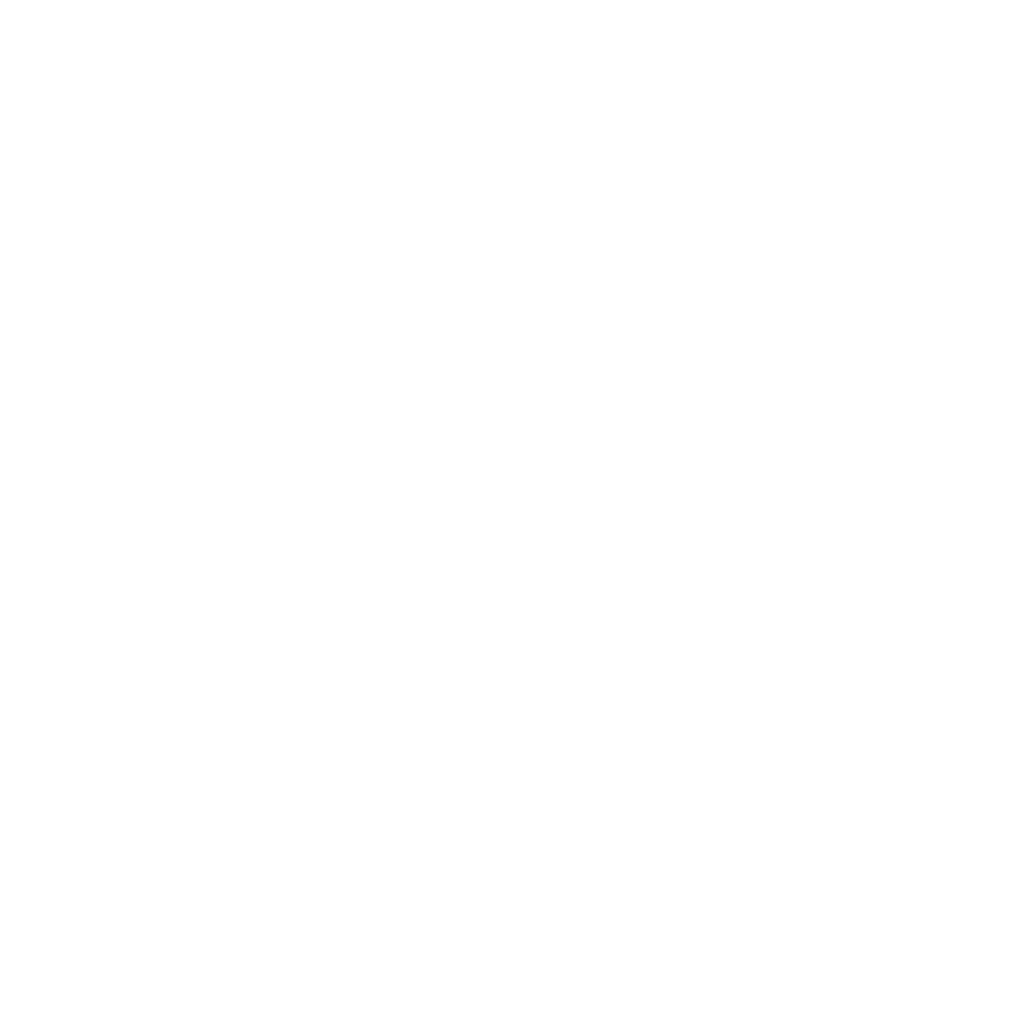 Steel Management Group — Skippy Studios