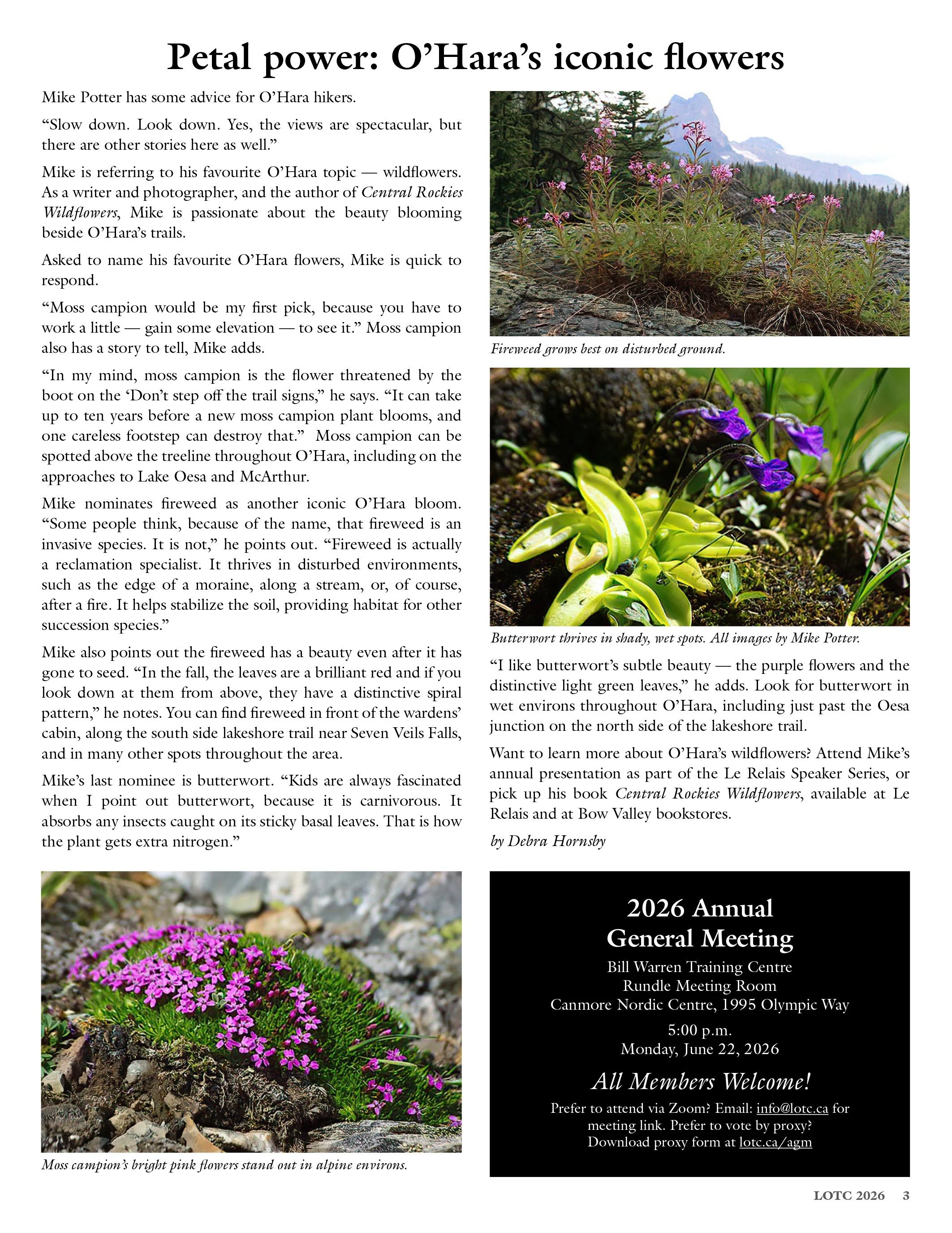 LOTC Newsletter 2026_colour-3.jpg
