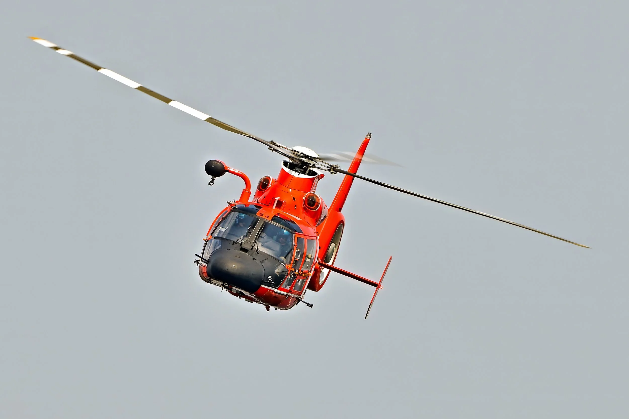 DSC_5139a.jpg
