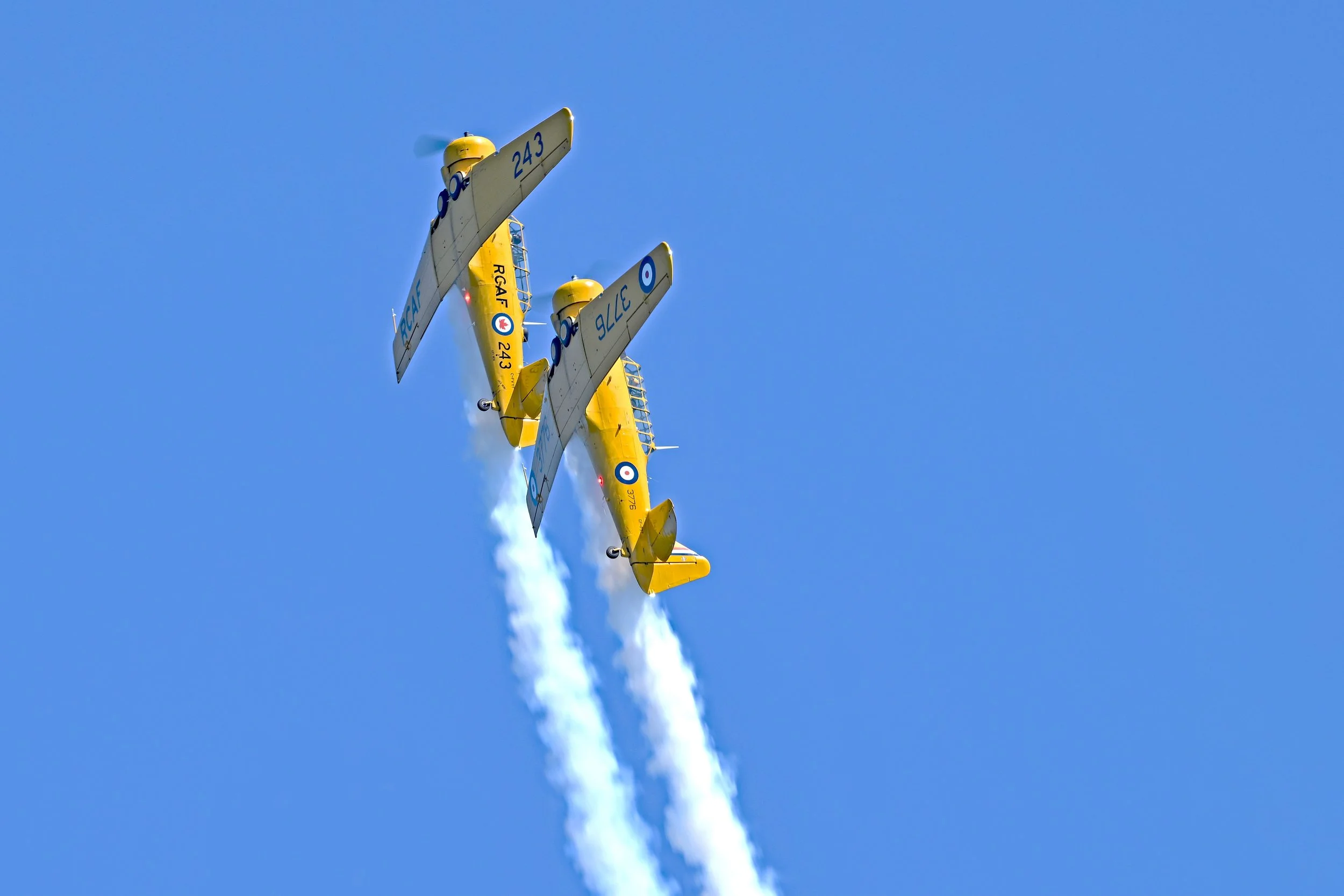 DSC_2894a.jpeg