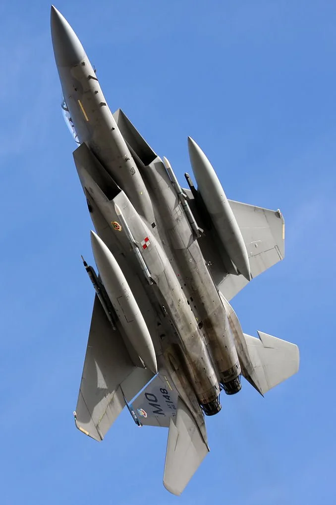 390fs 3.jpg