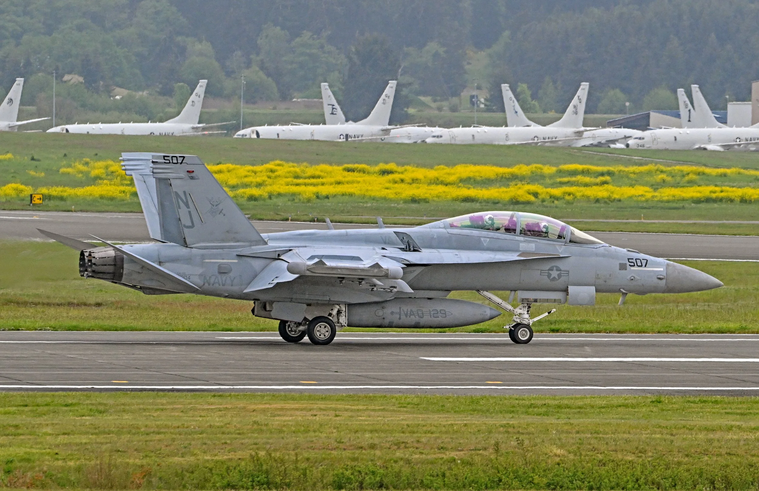 DSC_0998A.jpg