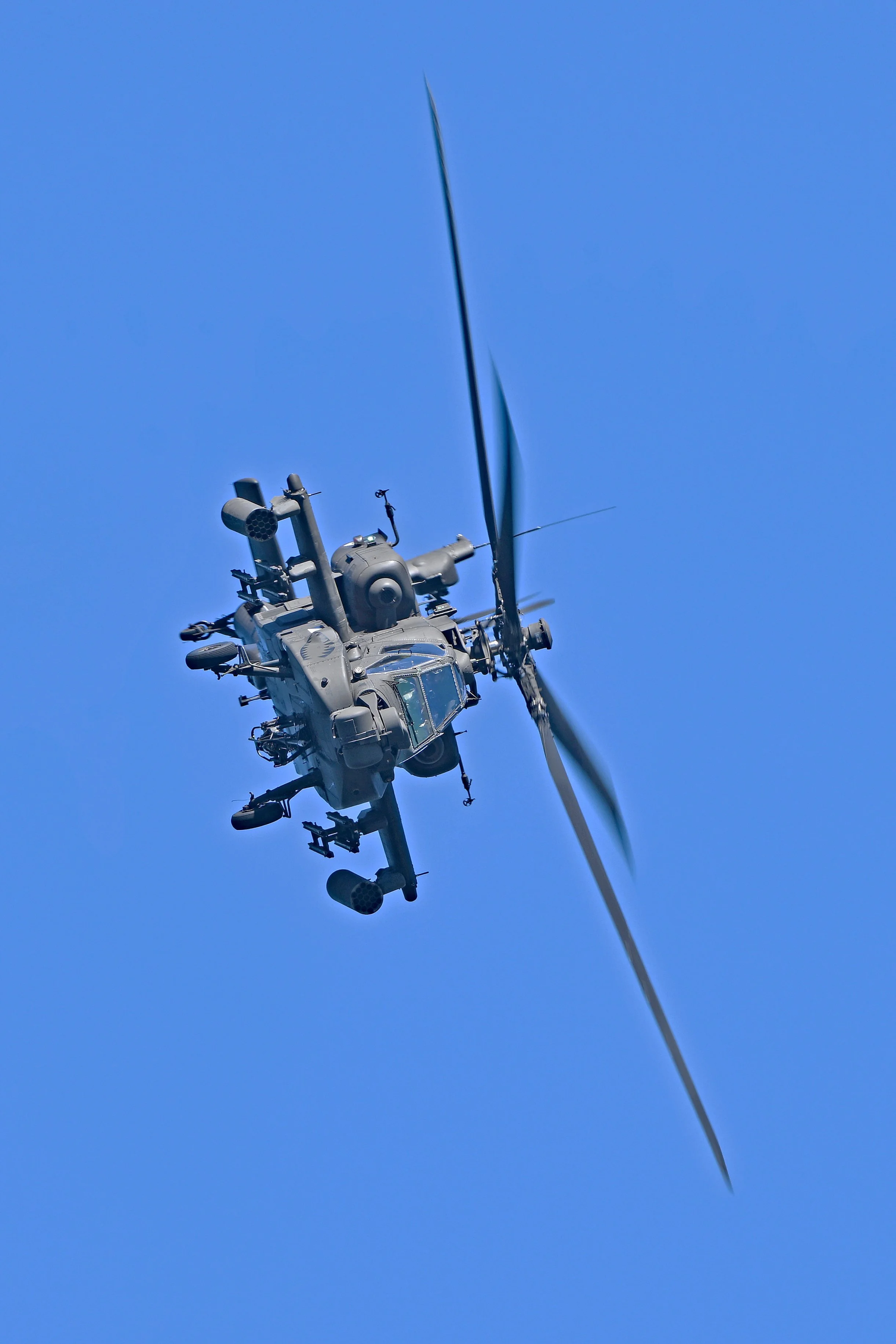 DSC_2860a.jpg