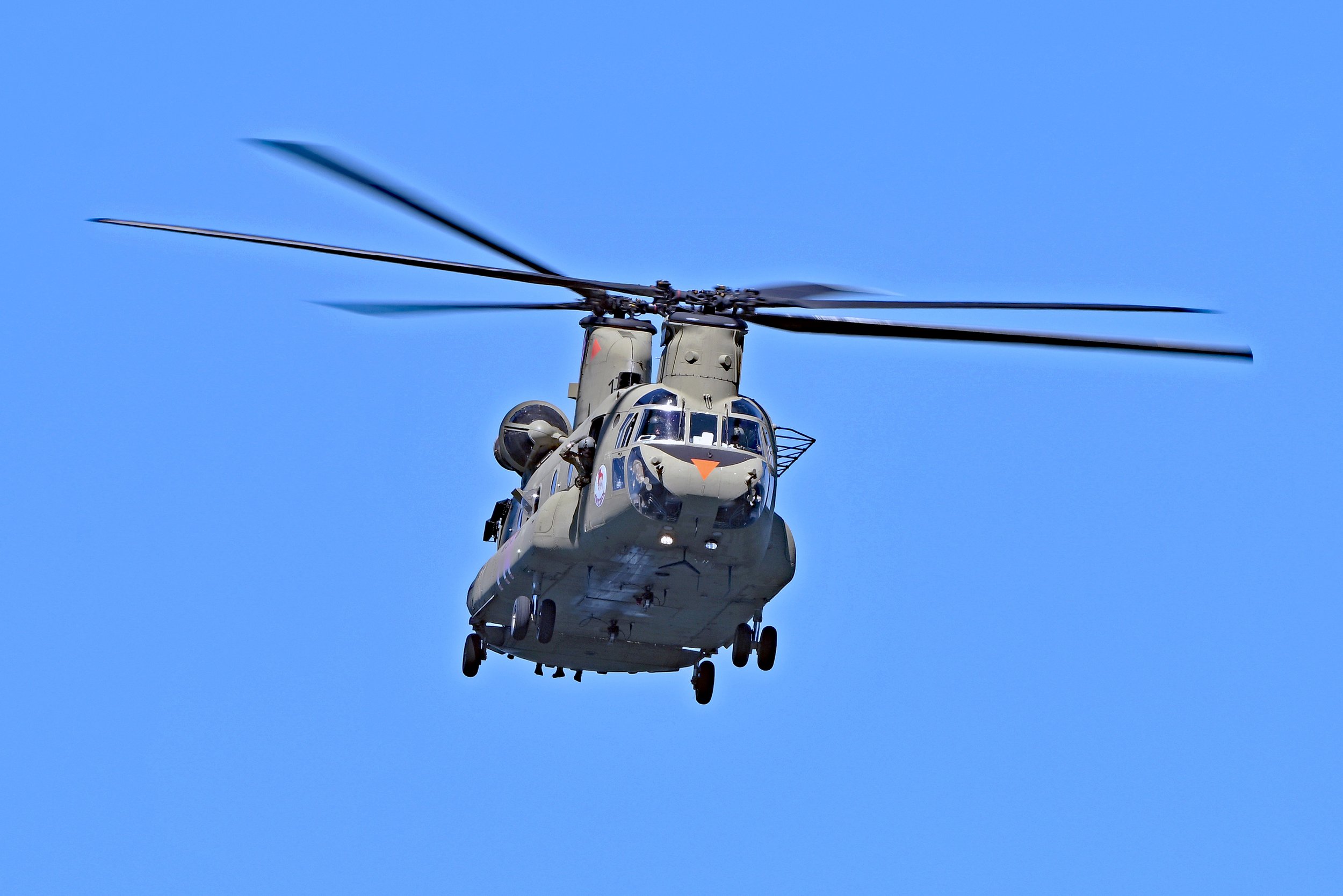 DSC_2655a.jpg
