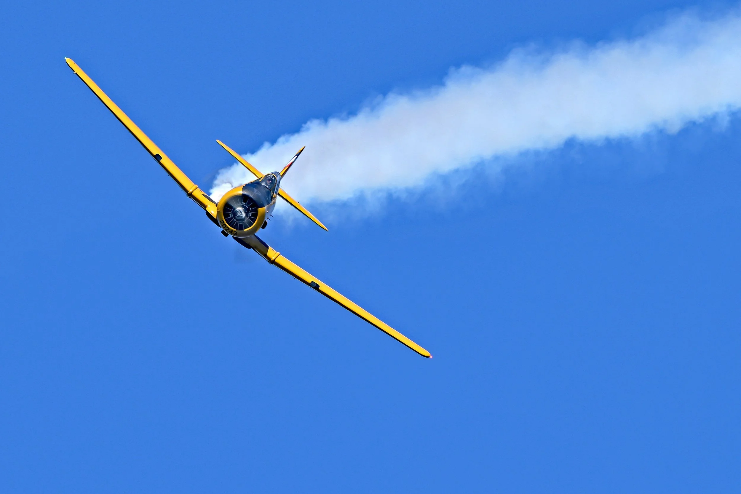 DSC_2581a.jpg
