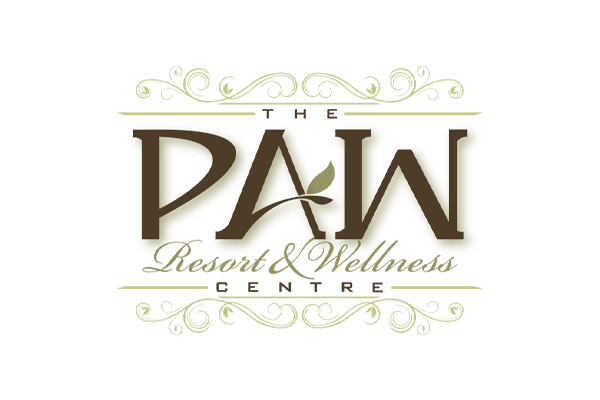 Logo for the animated TV show 'Paw Patrol' featuring stylized text with a small animal paw print.