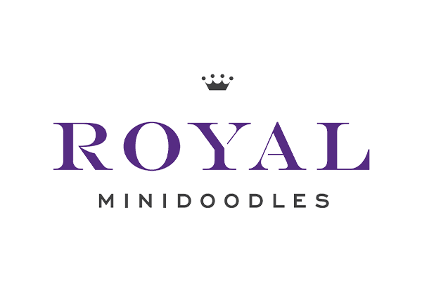 Royal Min noodles logo featuring a crown above the word 'Royal' in purple and smaller text 'Min Noodles' below.