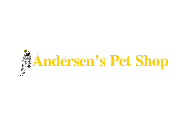 Logo featuring a black and white cartoon parrot with a yellow crest, sitting on a branch, next to a large yellow rectangle with text.