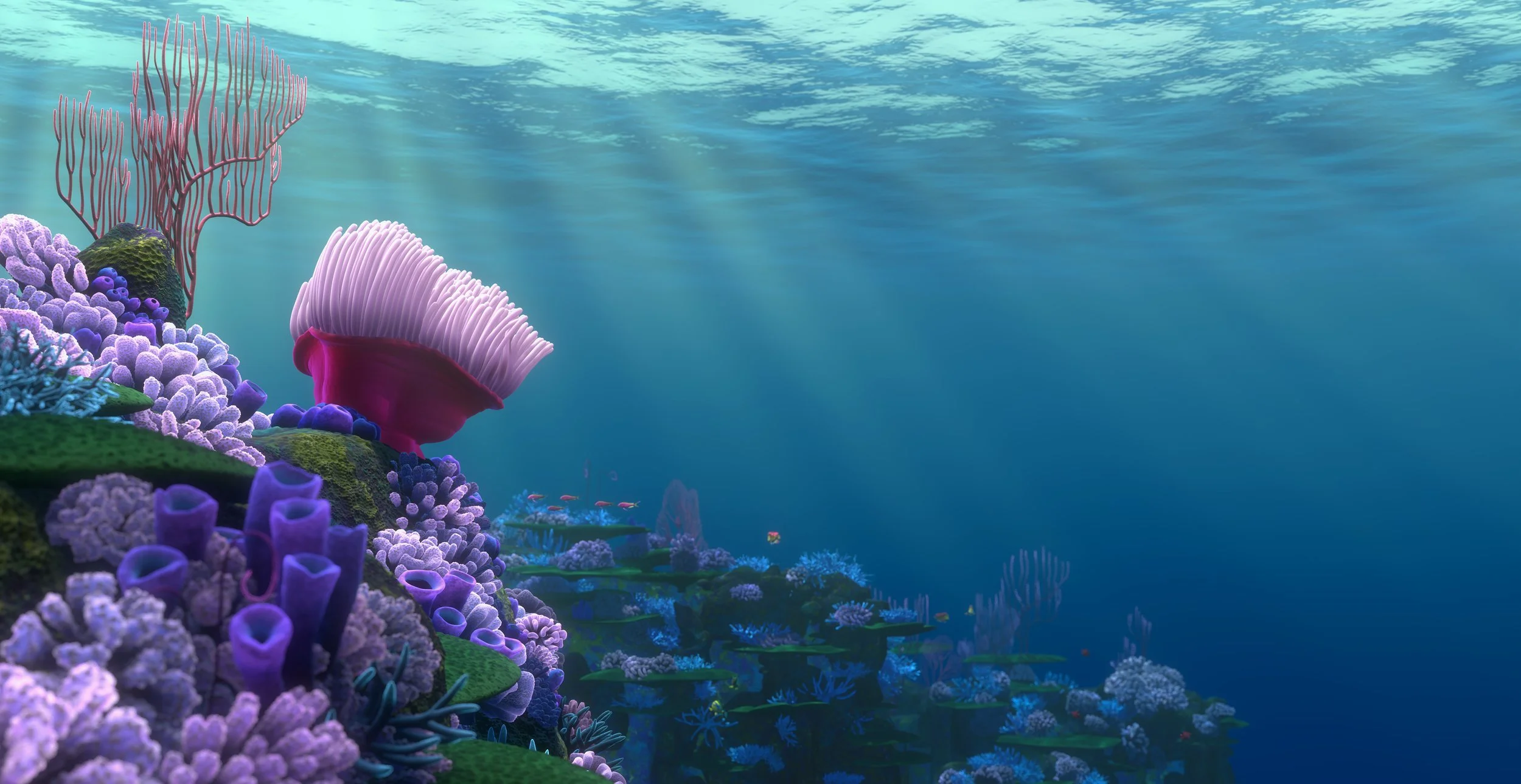Finding Nemo Hd Wallpaper