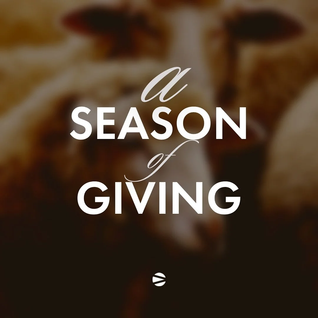 Season of Giving! This weekend, we&rsquo;re spreading love and hope in BIG ways:

🥧Meals in Motion: We&rsquo;re giving out Thanksgiving meals to families in need following service.

🥧Bounty Baskets: For just $40, you can sponsor a holiday meal for 