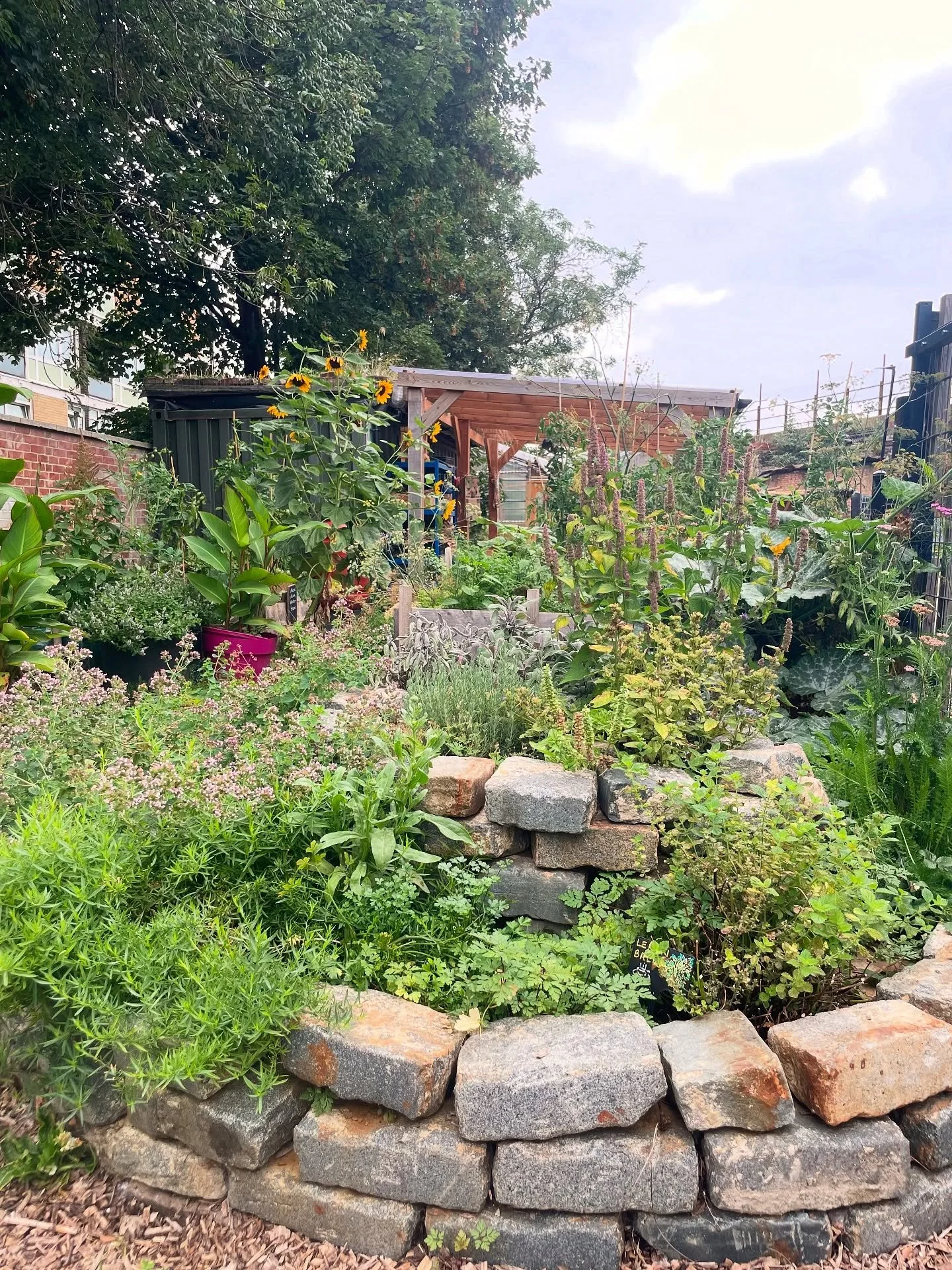 We love being just across the road from @loughboroughfarm — a community growing project where volunteers grow and share vegetables, fruit, and plants. 
We pick lemon balm, lemon verbena, and mint for our teas, and use fresh herbs, salad leaves