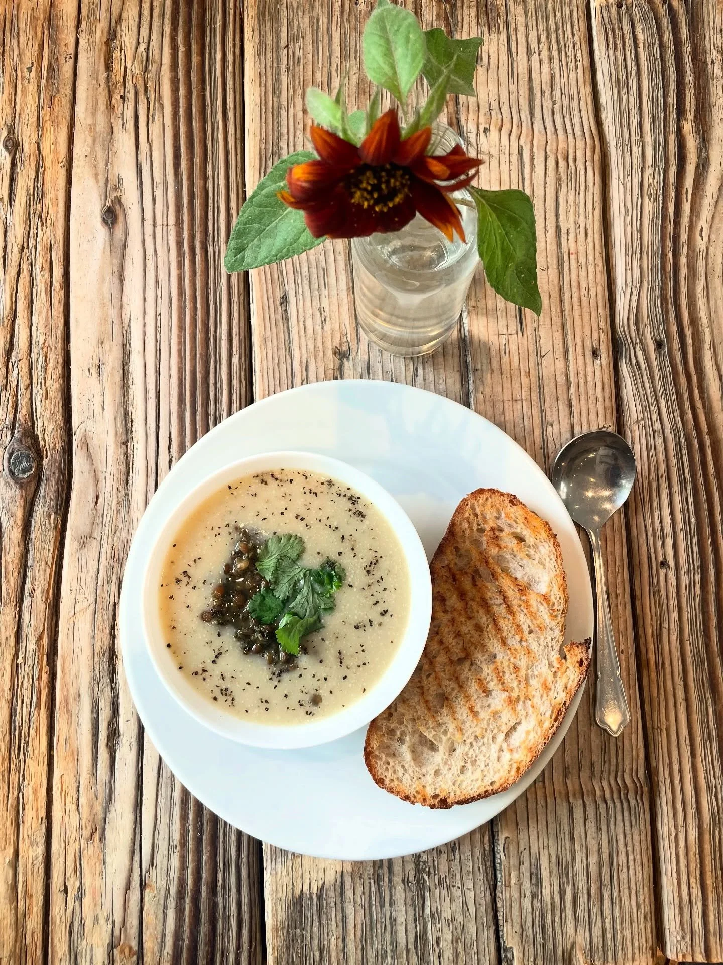 Perfect rainy day lunch: green lentil, cauliflower and coriander soup with bread or a mini toastie π₯ 
#soup #lunch #food #cafe #vegetarian #vegan #plantbased #healthy #southlondon #brixton #camberwell #loughboroughjunction #sw9