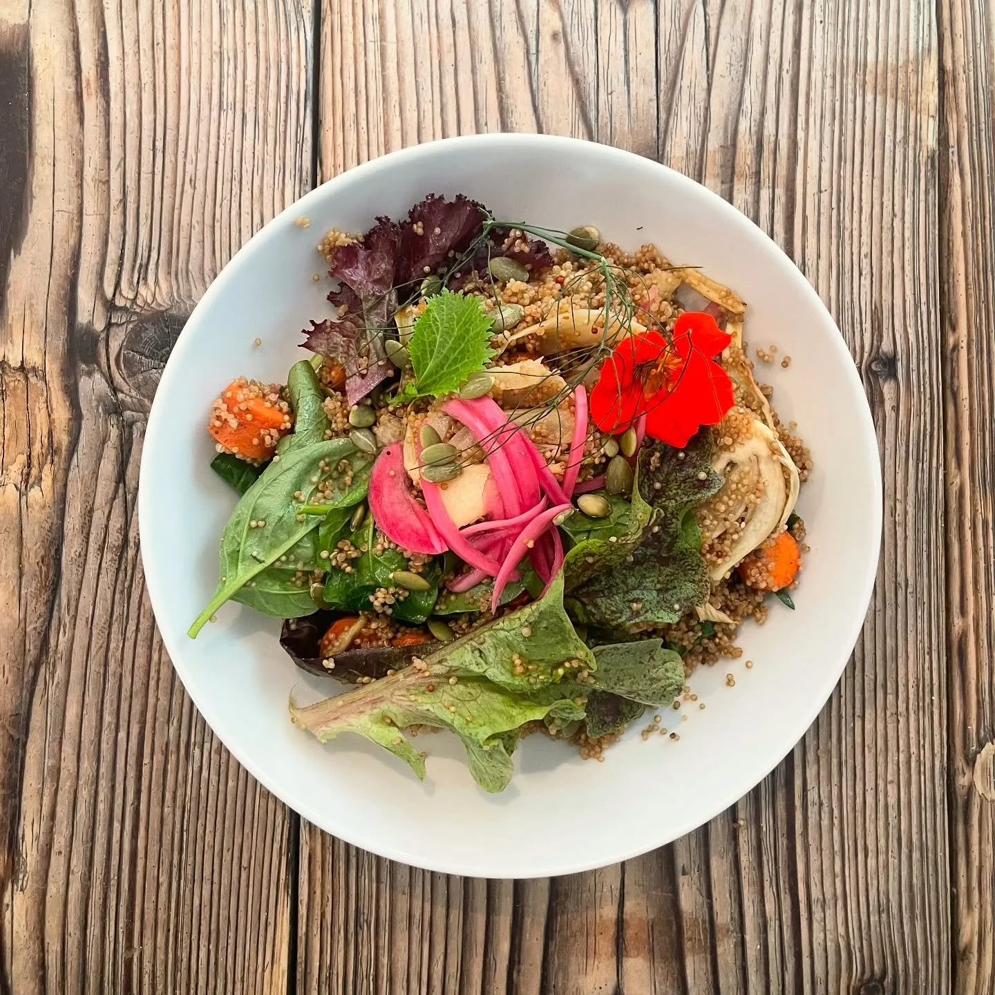 Salad on the lunch menu - quinoa, roast fennel, roast carrots, pickled onions, and mixed @loughboroughfarm leaves.
We’re proud to celebrate seasonal, sustainable produce with herbs, salads, and greens grown just over the road whenever possible