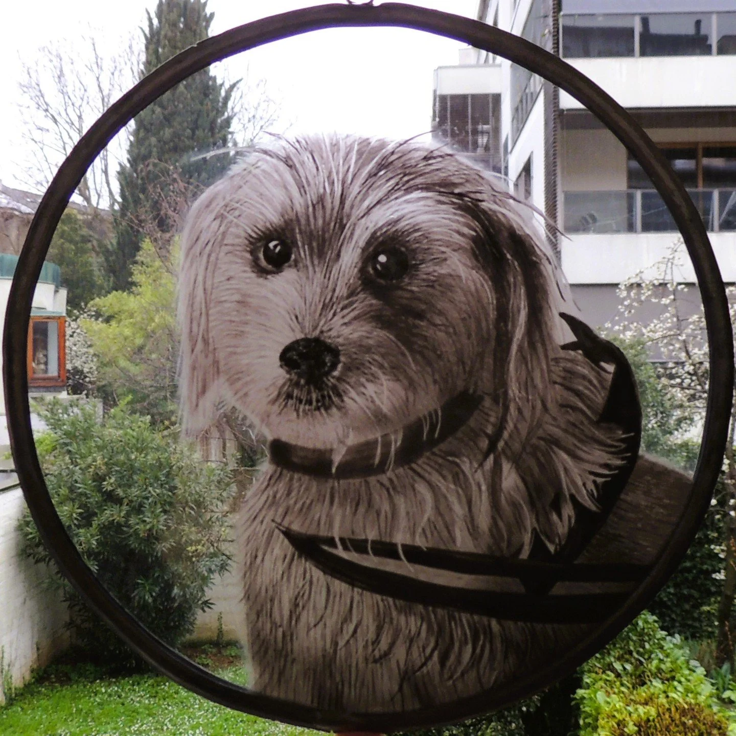 I did a #petportrait of a very special schnuffler recently. What do you think? Scroll through for the pic I used to paint him to rate the likeness...😬
#stainedglass #vetrateartistiche #vetro #vetrate #contemporarystainedglass #glassart #dogsofinstag