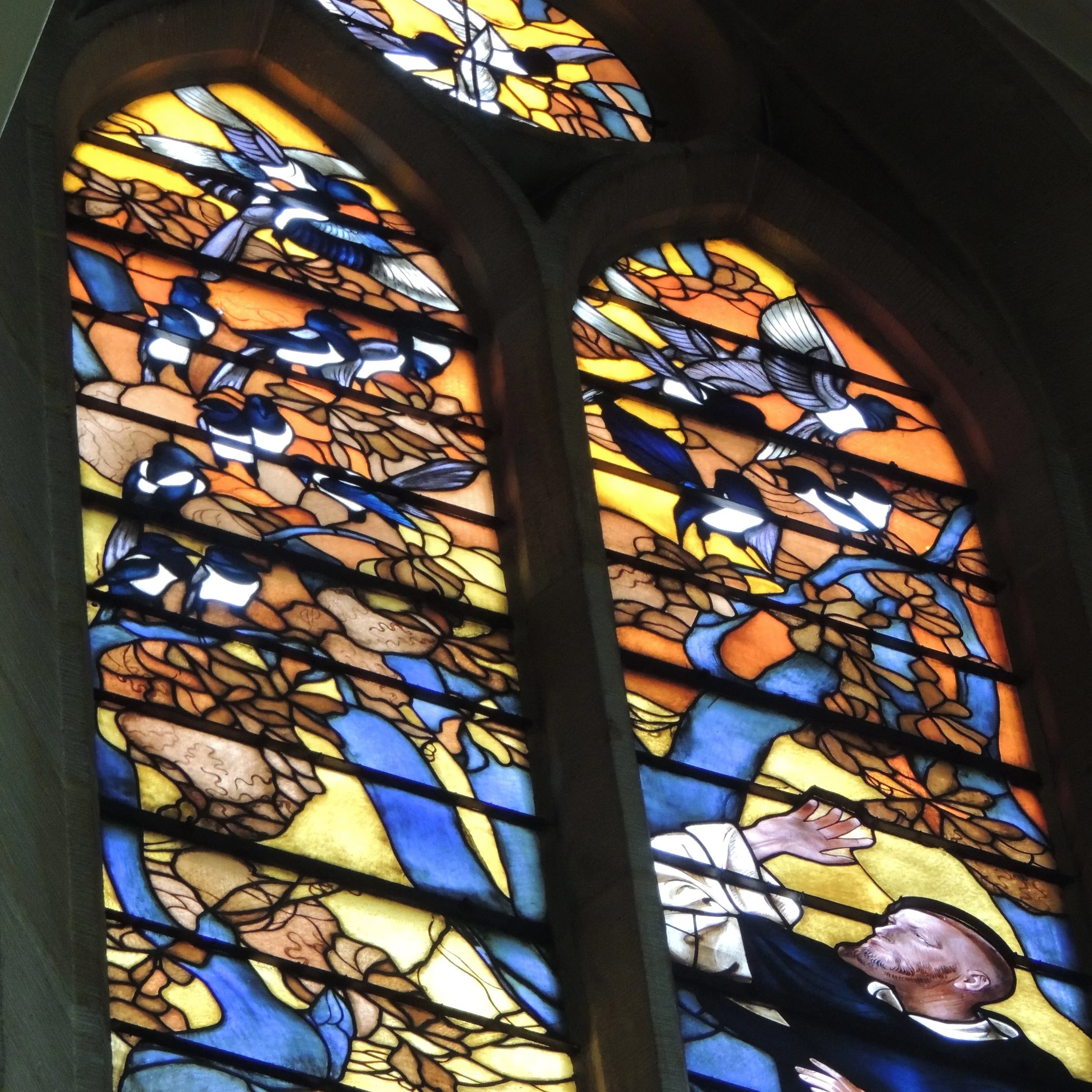 The last of the stained glass Krakow / Katowice photos... and a dotty horse 😍