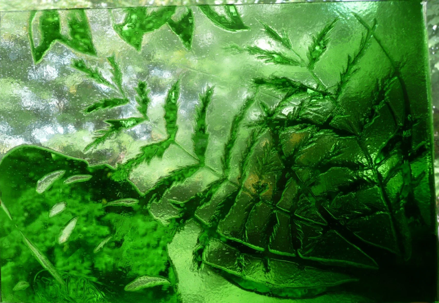 stained glass ferns, acid etched. Felci in Vetro colorato, Inciso con l’acido fluoridico, vetrate artistiche Charlotte Roden