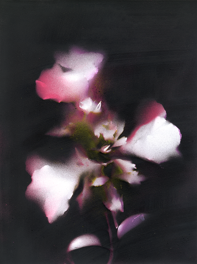 Accelerating flowers (series)