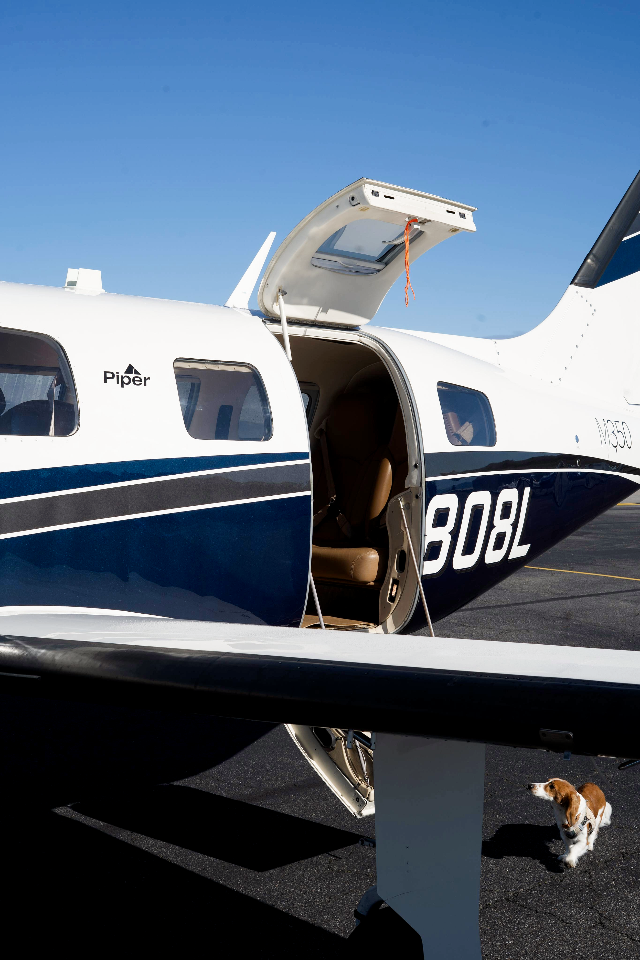 Dog waiting at the airstair door of a Piper M350 before boarding