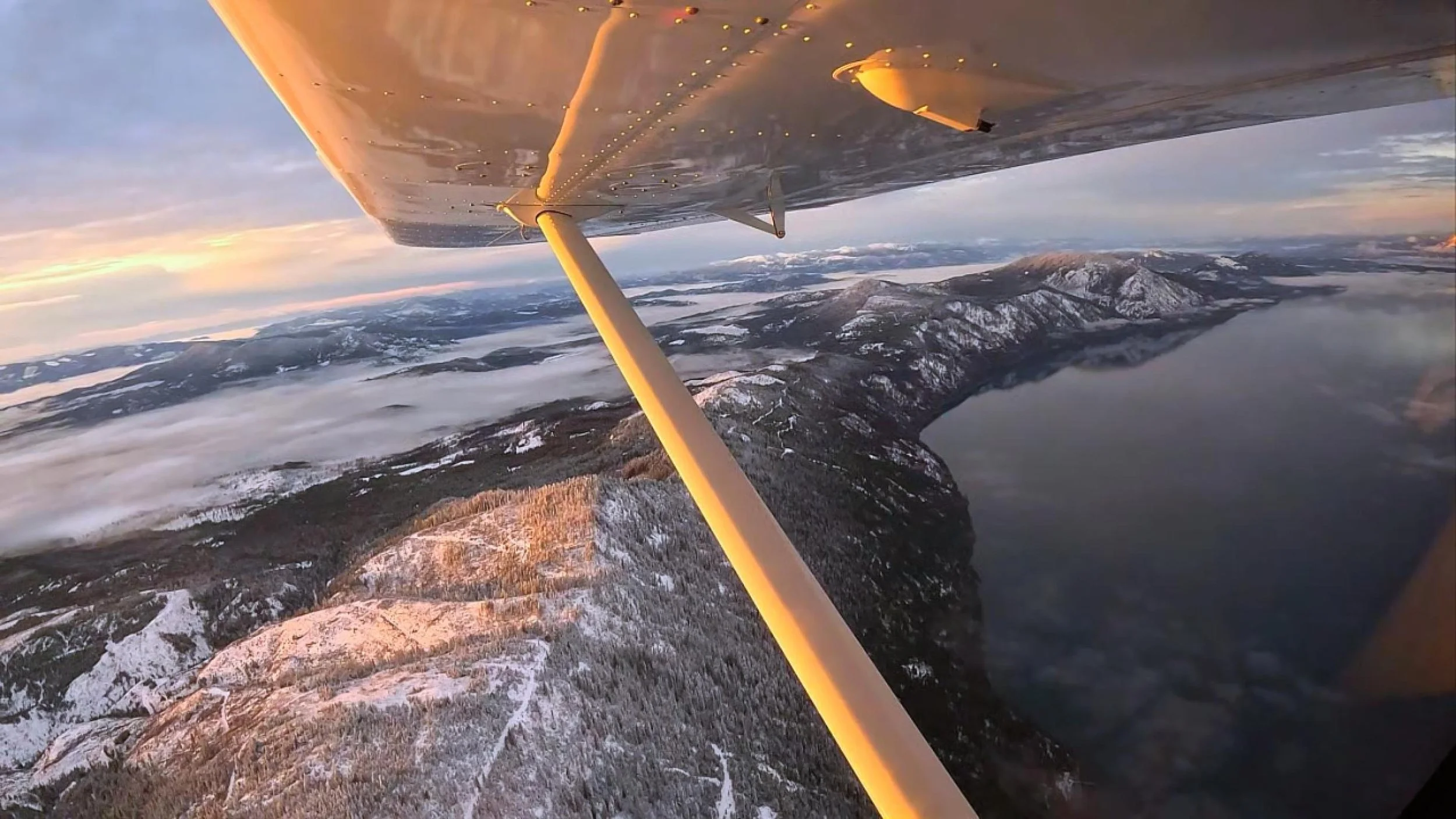 Background Vid_1-Cover.jpg