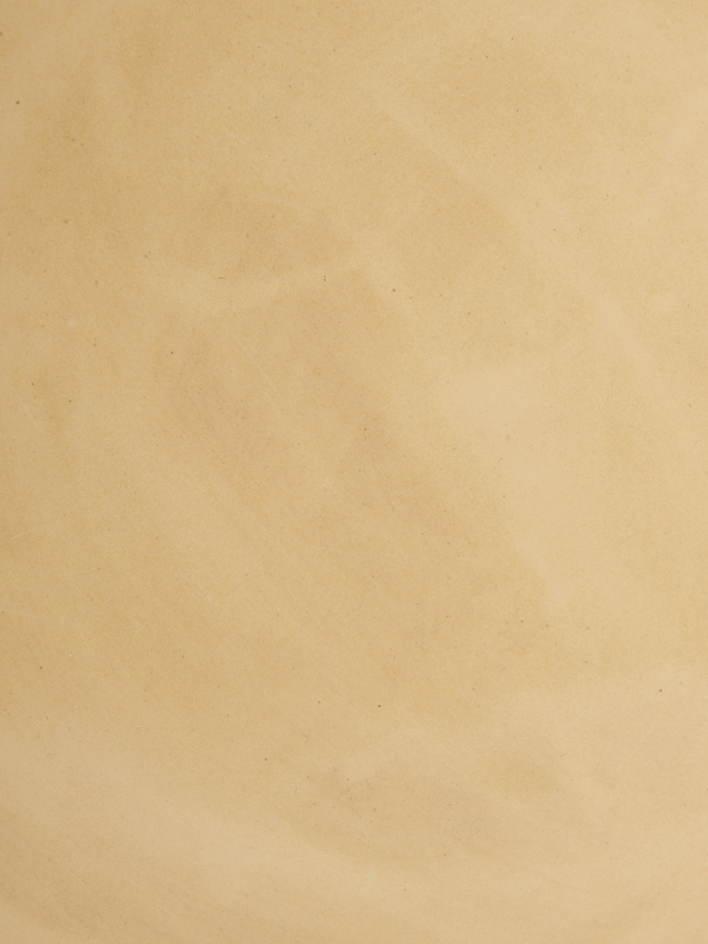 RoundServer_ButterYellow_Swatch_778.jpg