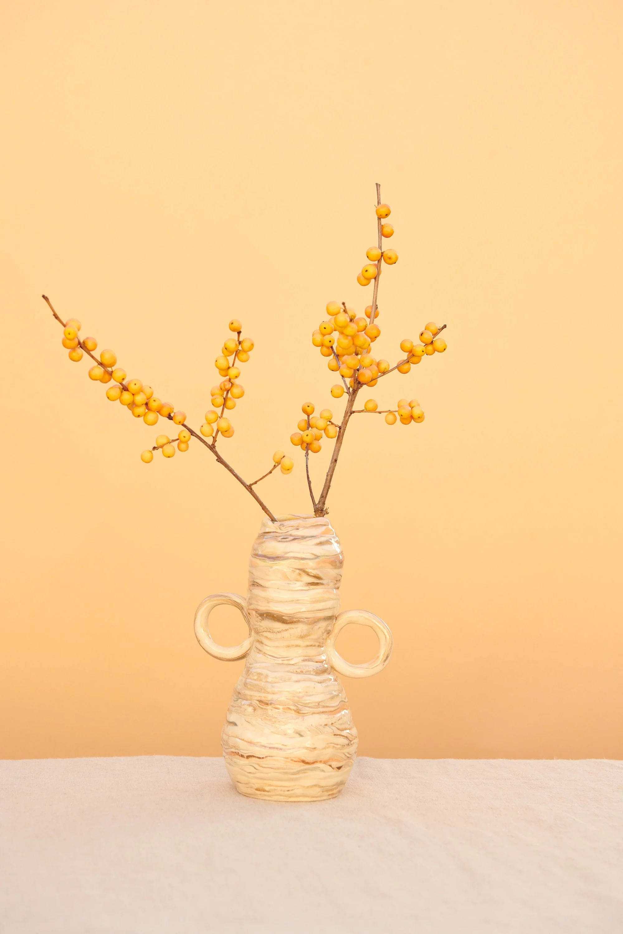 One of a Kind Vase with Loop Handles