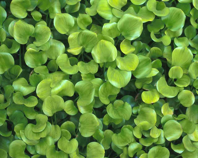 How To: Validate Supply Chain Sustainability Claims And Avoid Greenwashing