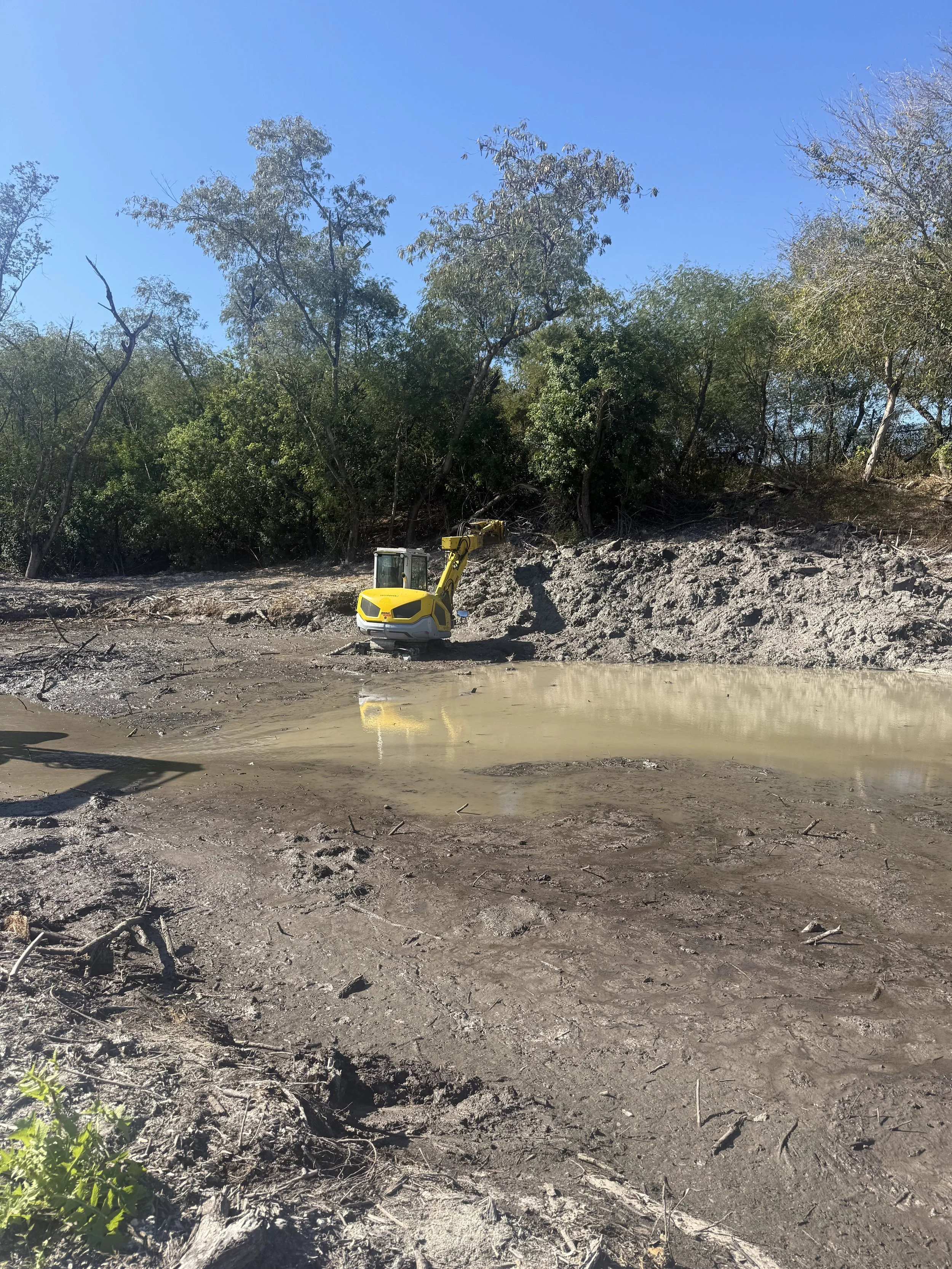 A yellow excavator working on a patch of land near a wooded area with trees and clear blue sky.