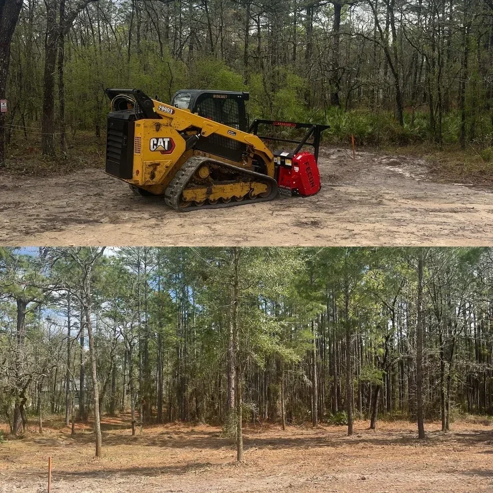 FORESTRY MULCHING