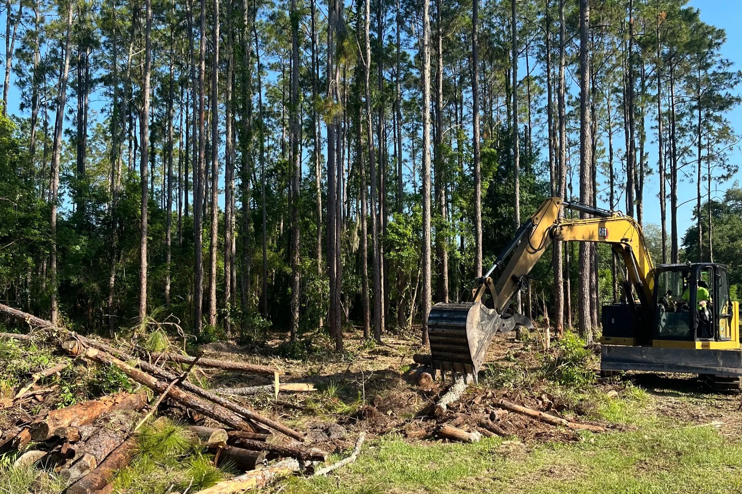 Forestry Mulching in Pasco and Hernando