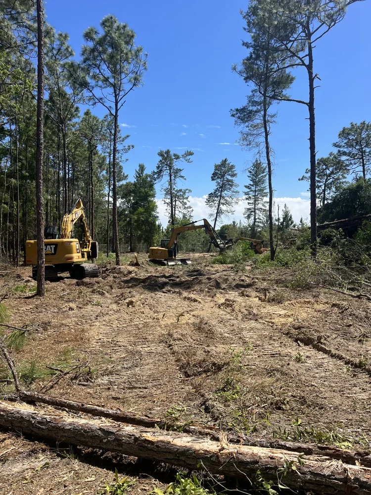 Forestry Mulching and Lot Clear
