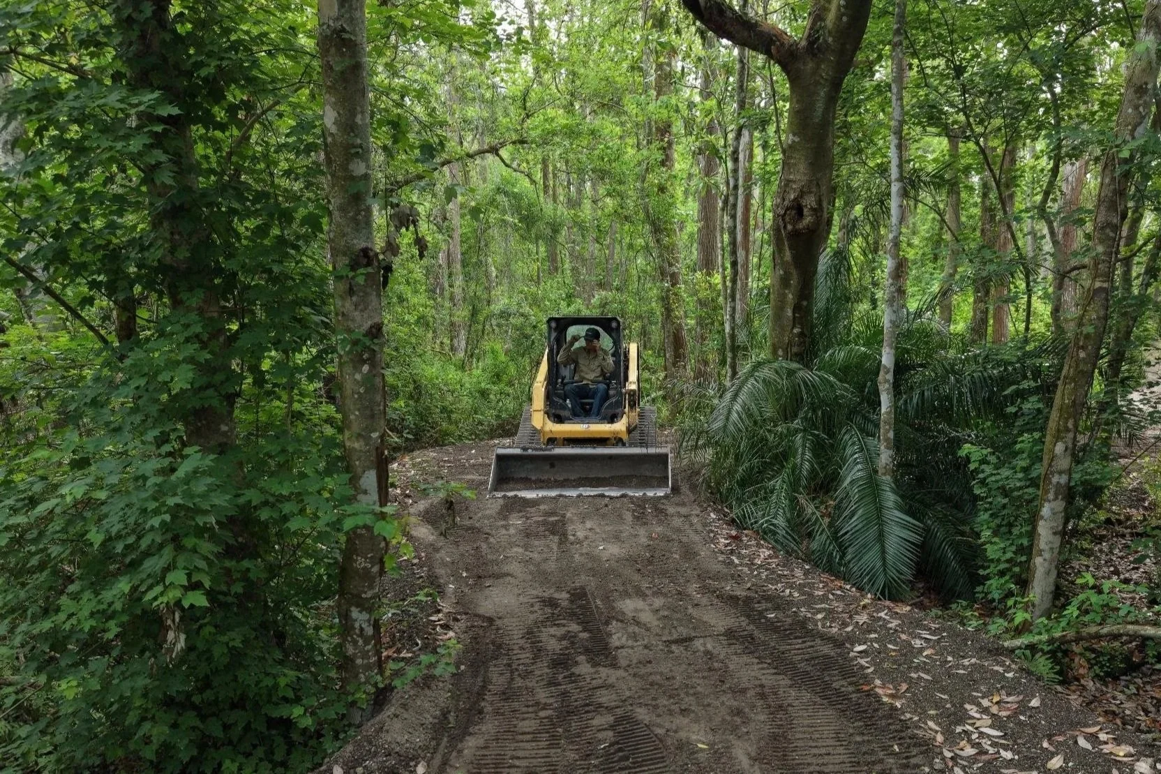 Access road creation project