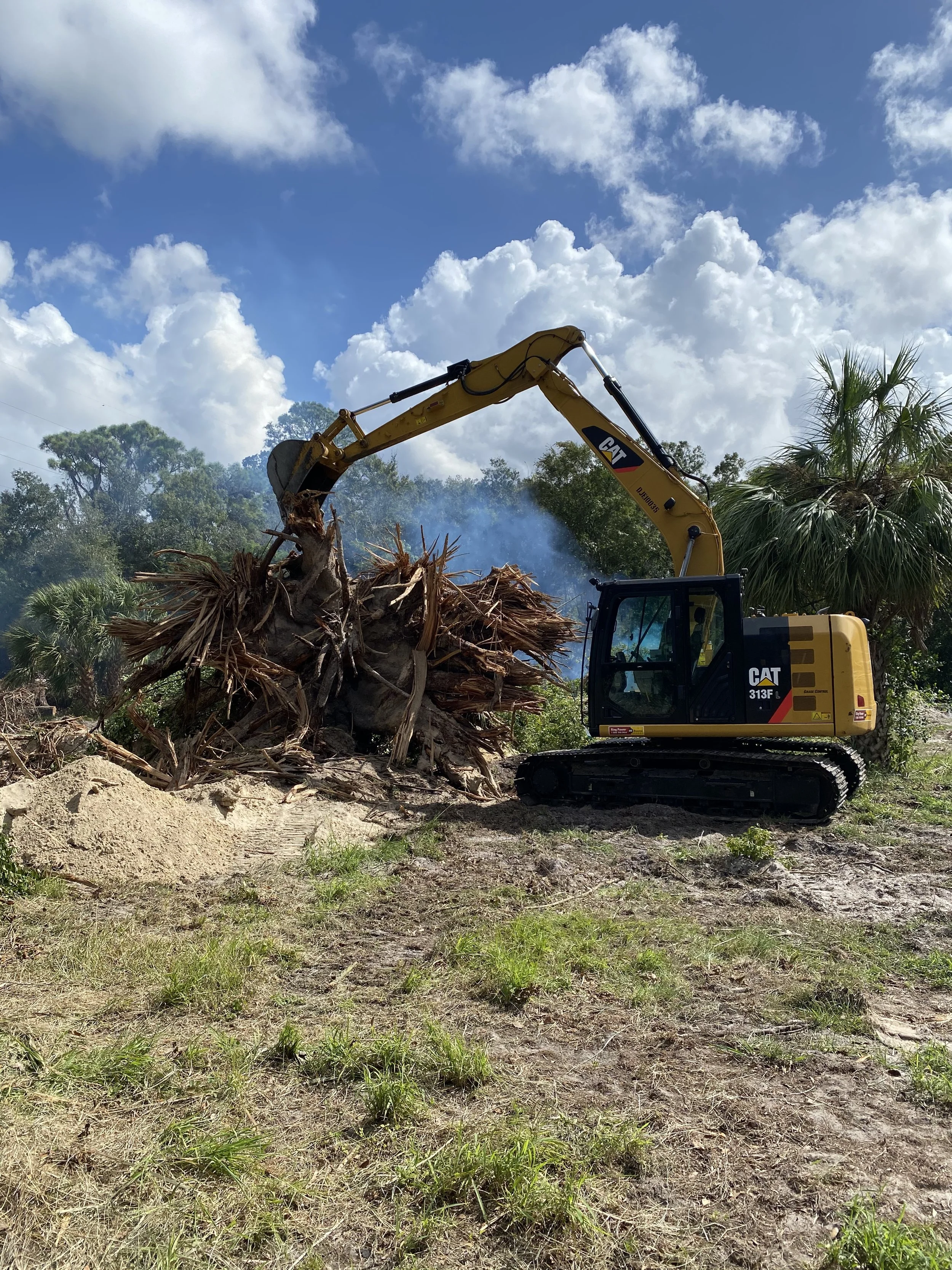 Stump excavation vs grinding