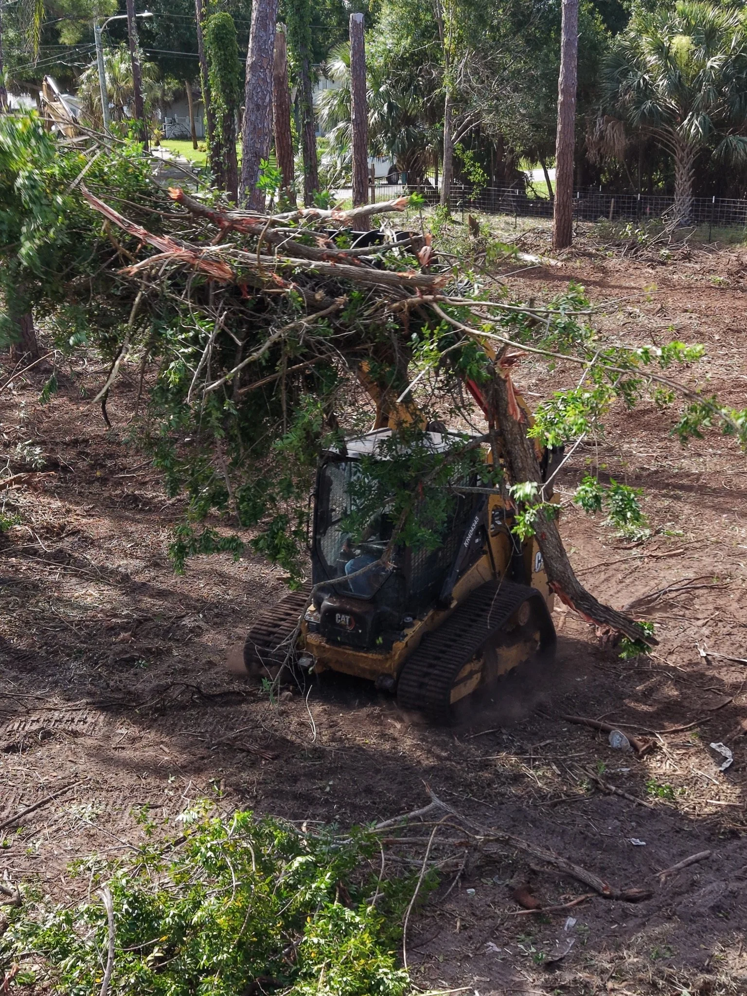 Land Clearing or Forestry Mulching: Which do you need?