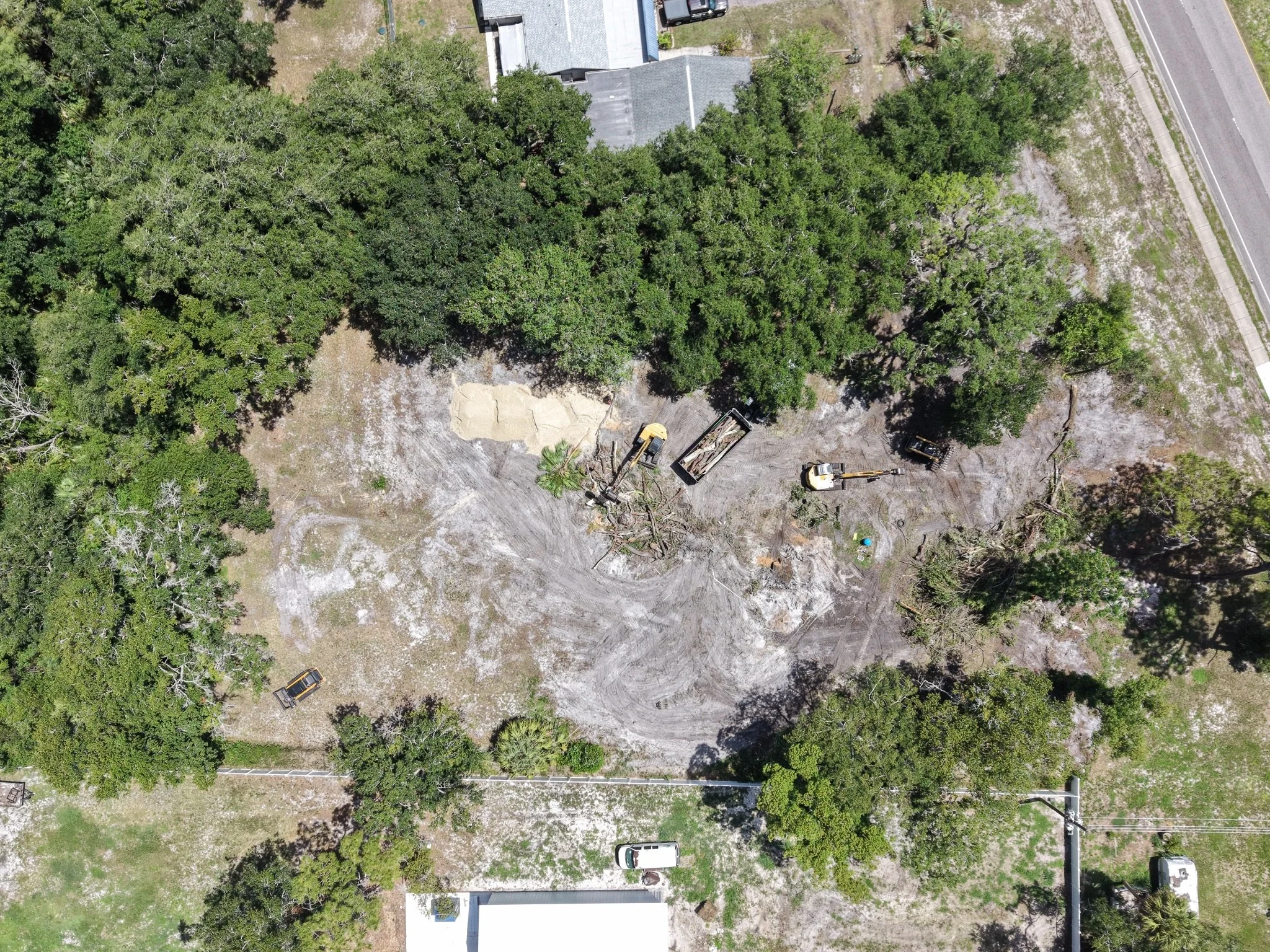 I Bought an Overgrown Property. What Should I Do First?