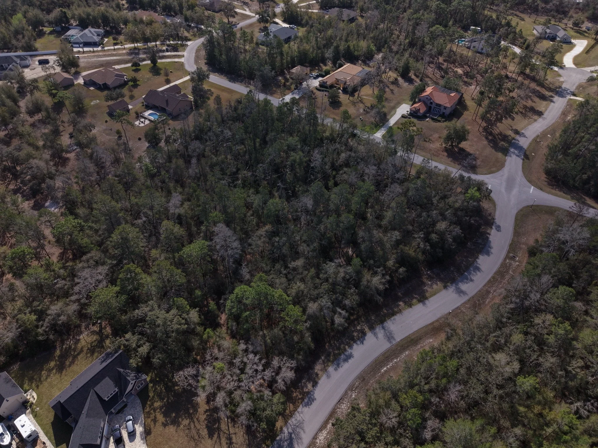 How Much Does It Cost to Clear an Acre of Land in Florida?