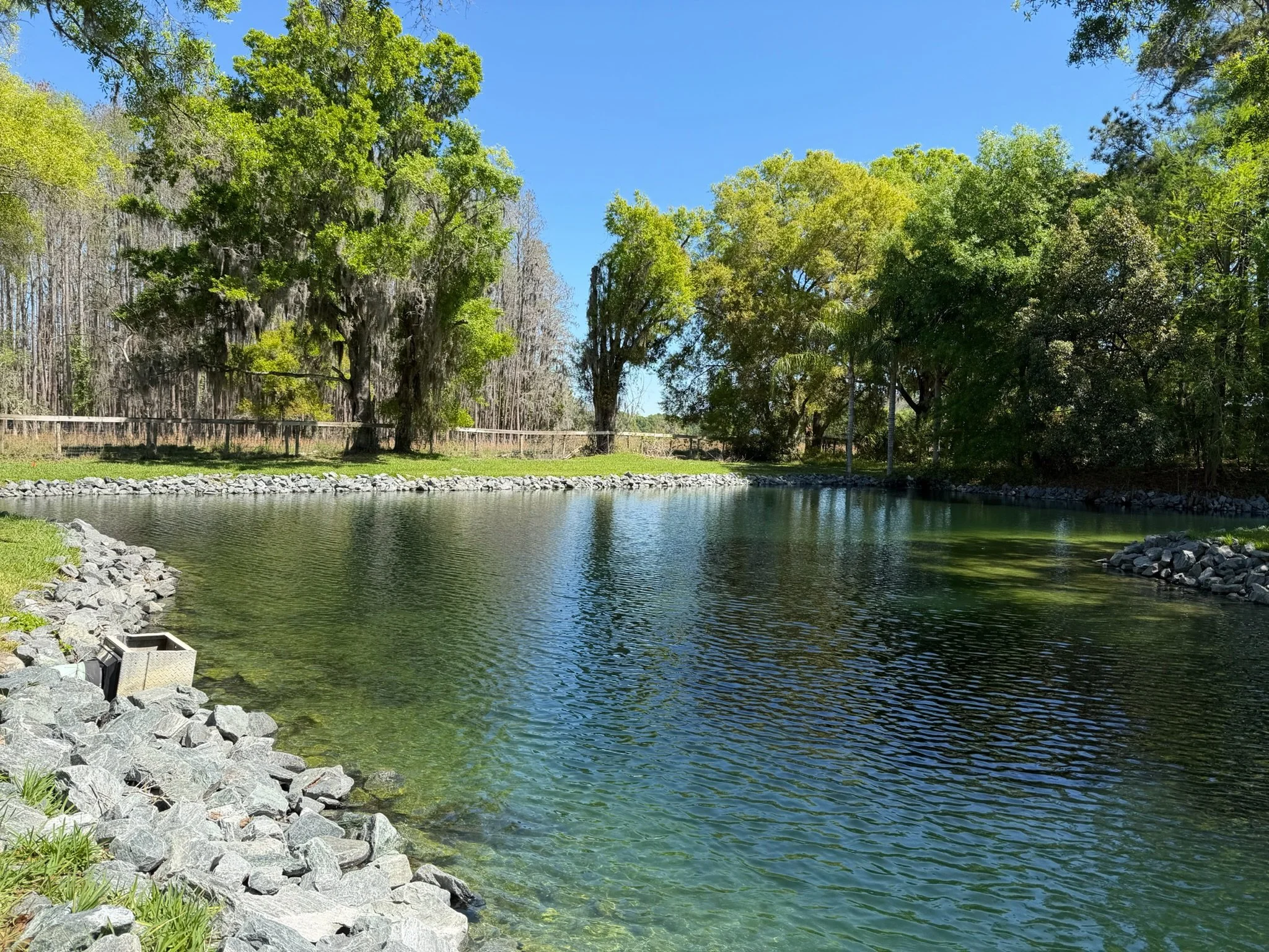 A peaceful river scene with clear water, surrounded by green trees and rocky shoreline, under a bright blue sky.