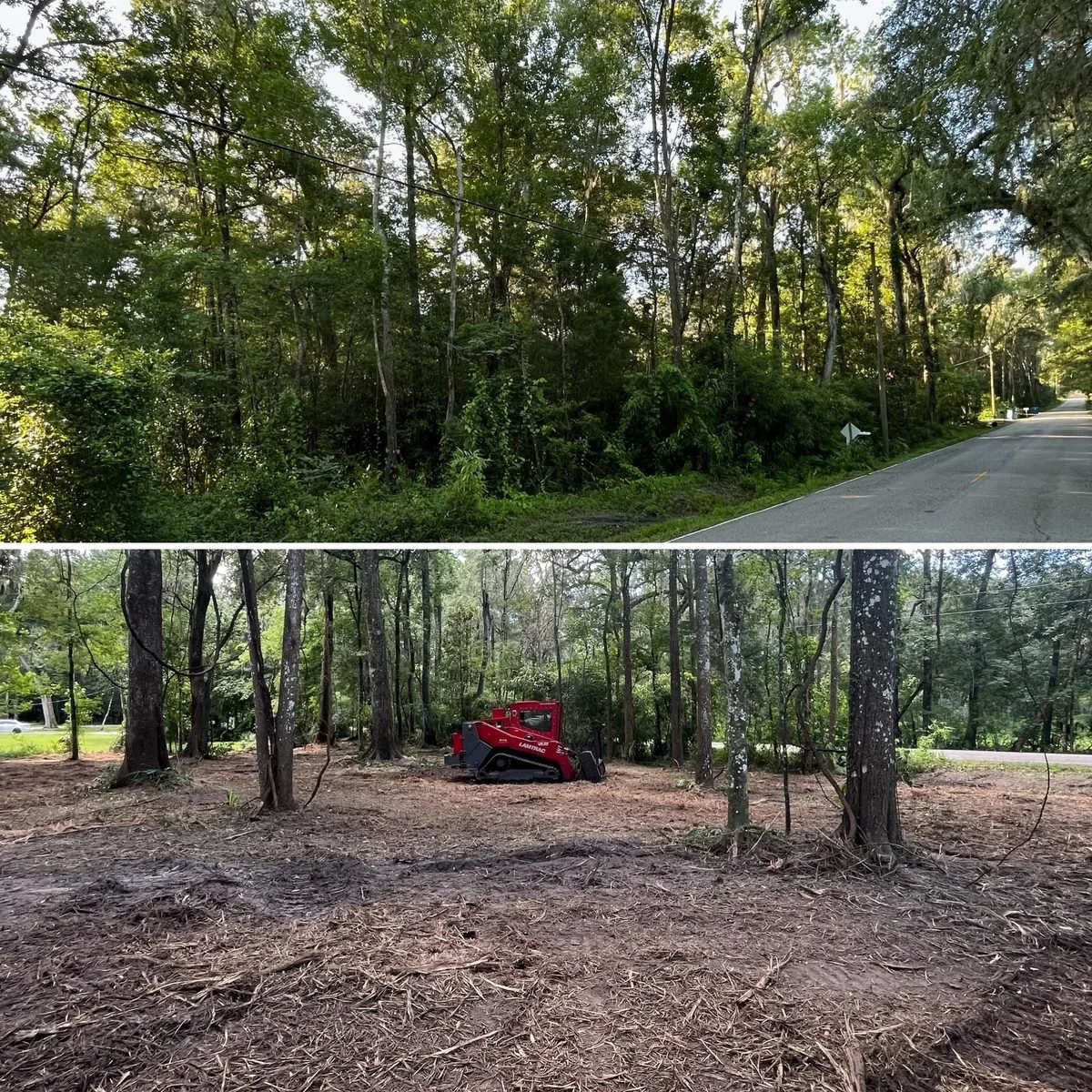 Side-by-side images of wooded areas. The top image shows a forested roadside area with trees and a street, while the bottom image shows a cleared forest area with a small red forestry machine and remaining trees.