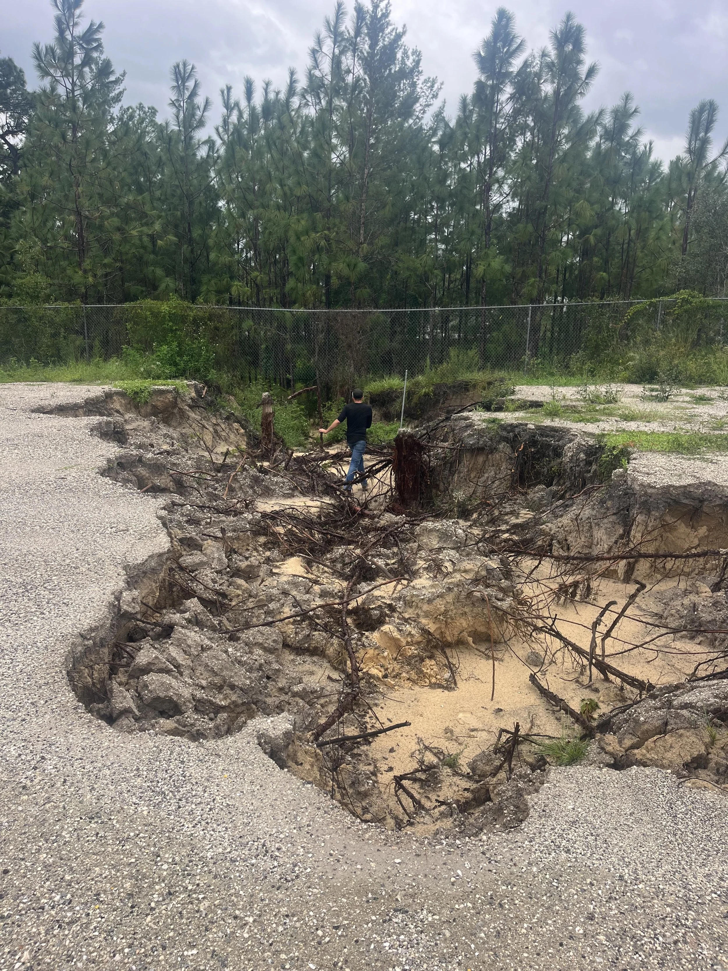 A person walking away from the camera in a damaged area with a large sinkhole or landslide exposing soil and roots, surrounded by asphalt and a chain-link fence with trees in the background.