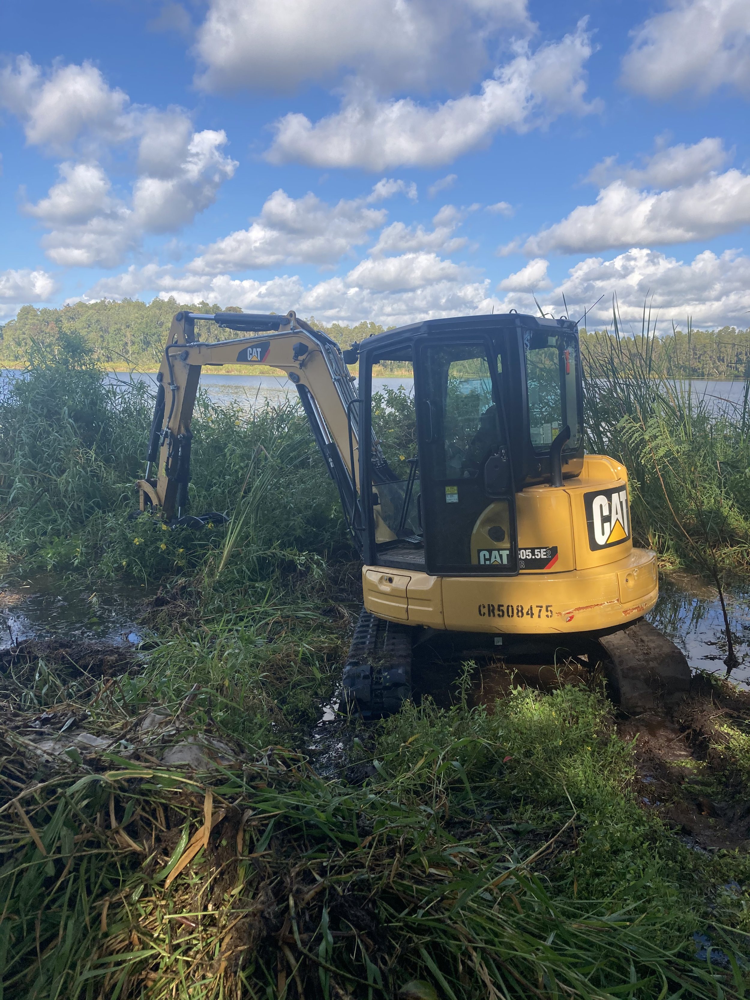 A yellow CAT mini excavator partially submerged in water and surrounded by tall grass and vegetation near a lake or river under a partly cloudy sky.