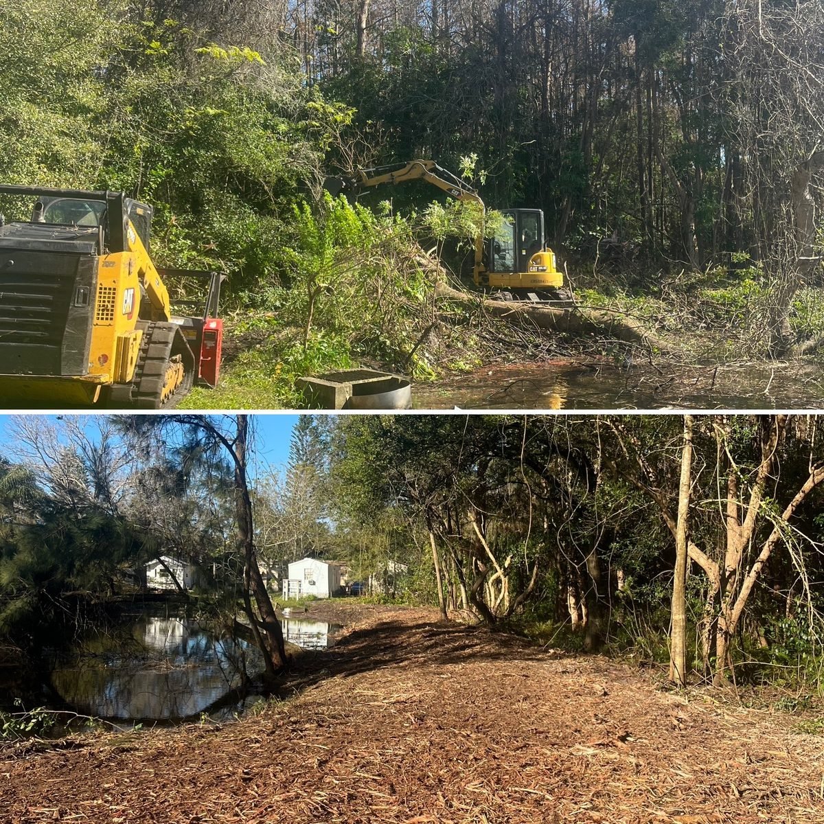 Two photos showing a tree removal project. The top photo shows excavators clearing trees along a waterway, with machinery and fallen branches. The bottom photo depicts the cleared area with a dirt path, trees, and a reflection of houses and trees in the water.