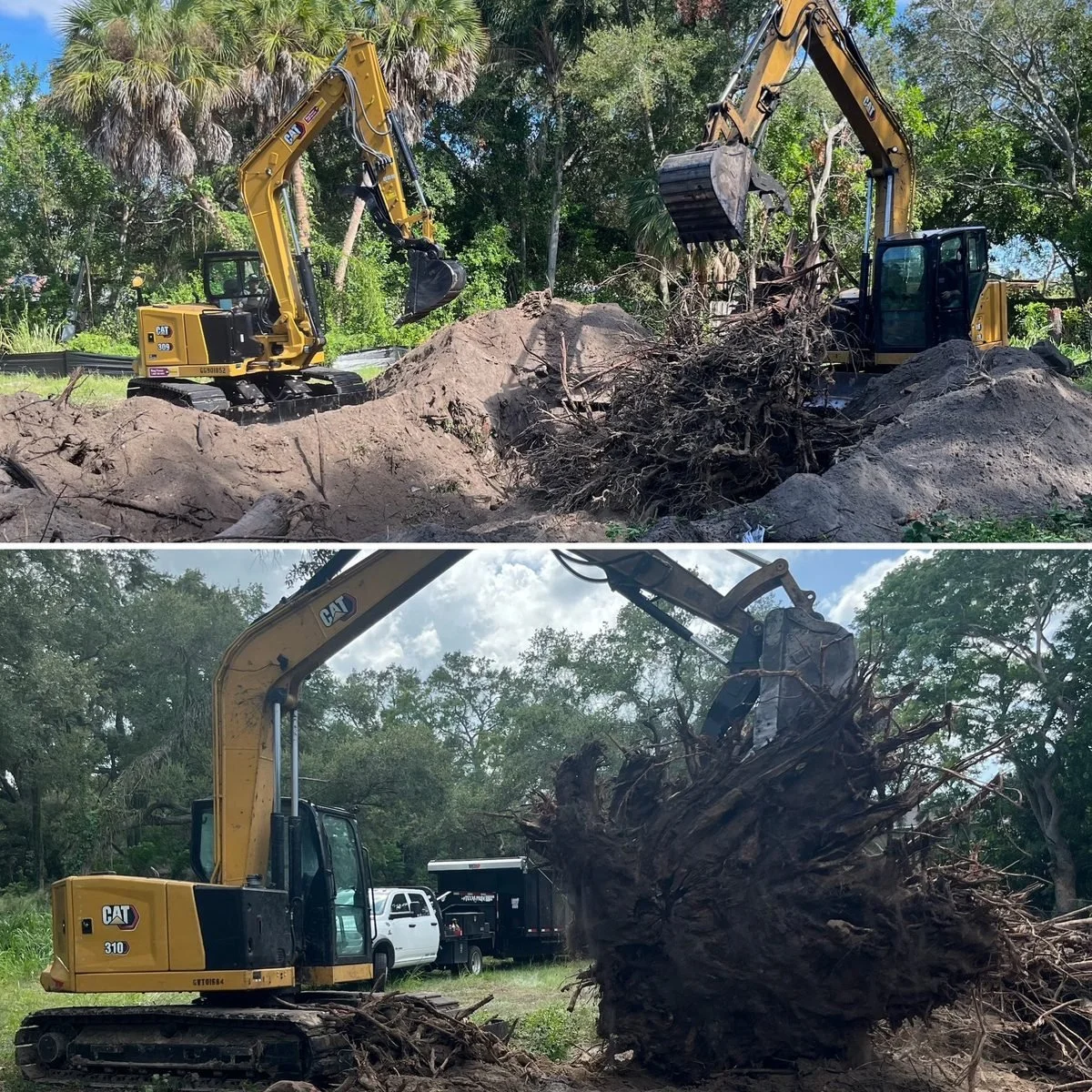 Two yellow excavators are clearing uprooted trees and debris from the ground in a wooded area.