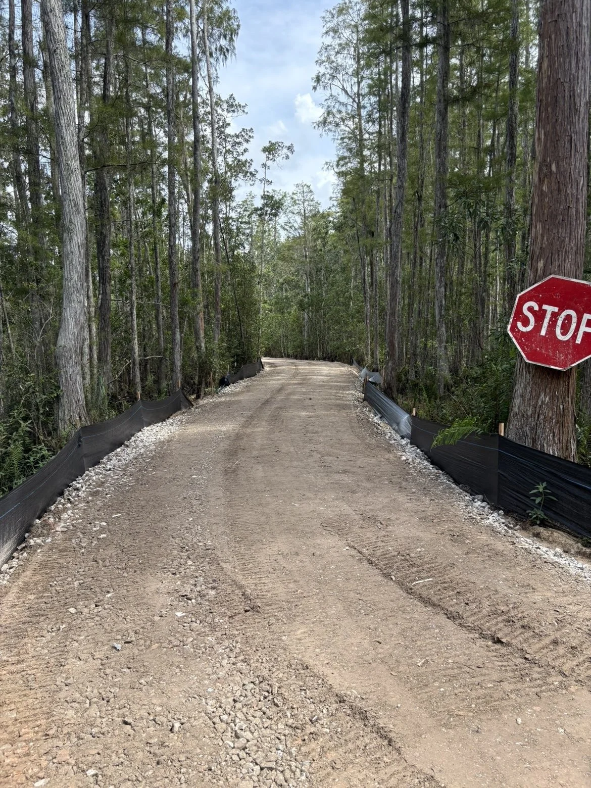 Dirt access road through a wooded property