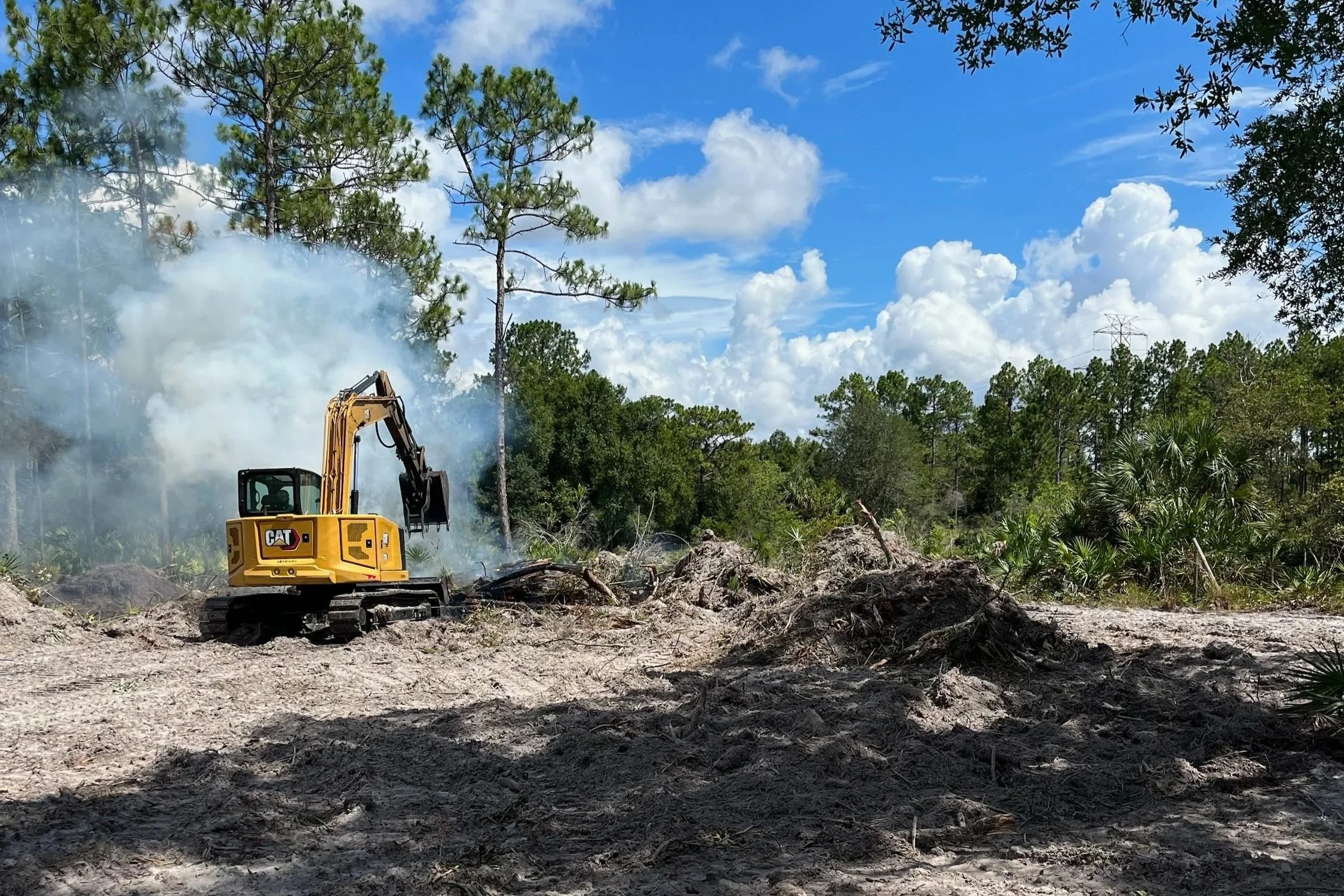 Forestry Mulching in Sumter county